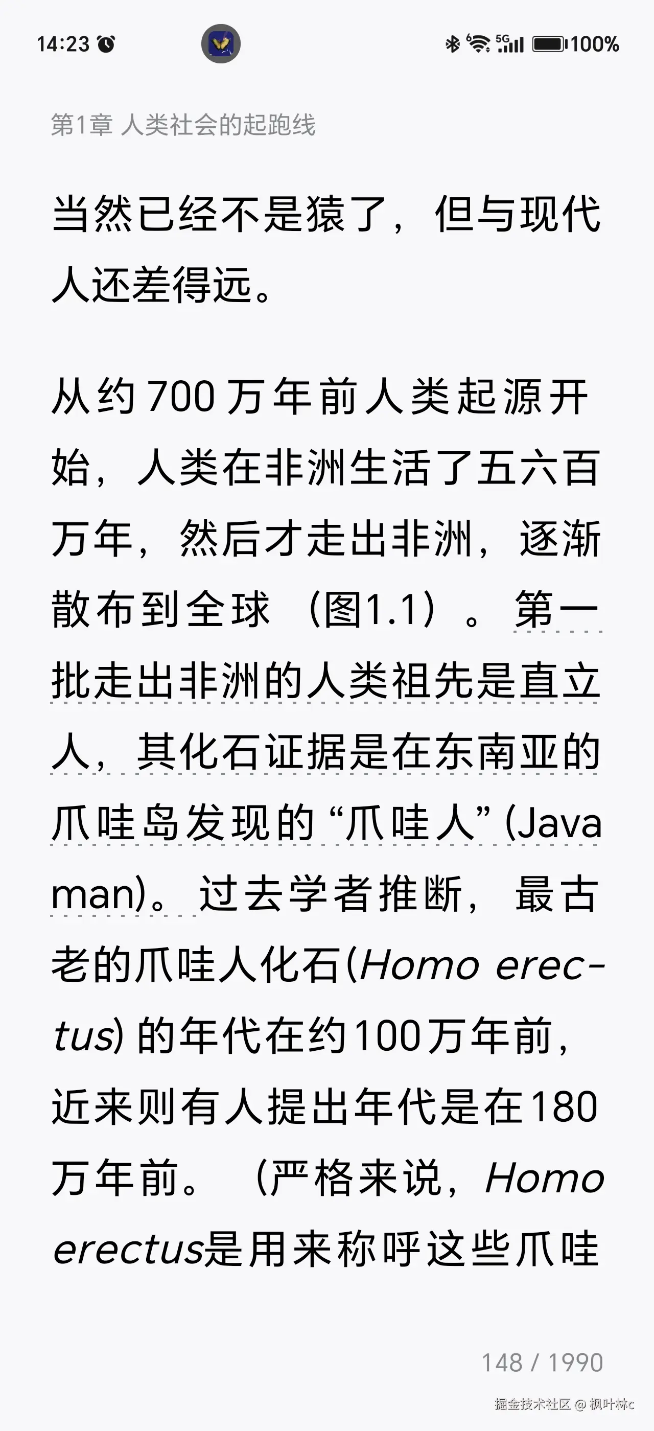 枫叶林c于2026-08-02 06:24发布的图片