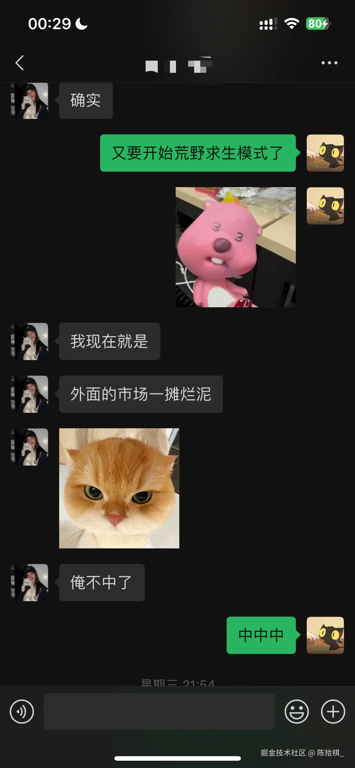 陈拾棋_于2025-12-02 00:37发布的图片