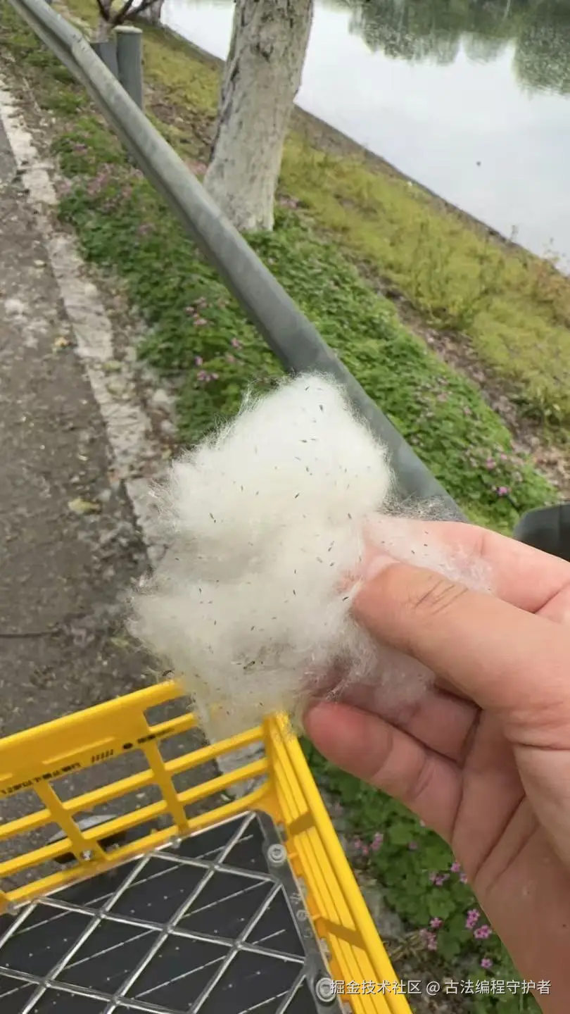 古法编程守护者于2026-04-13 14:34发布的图片