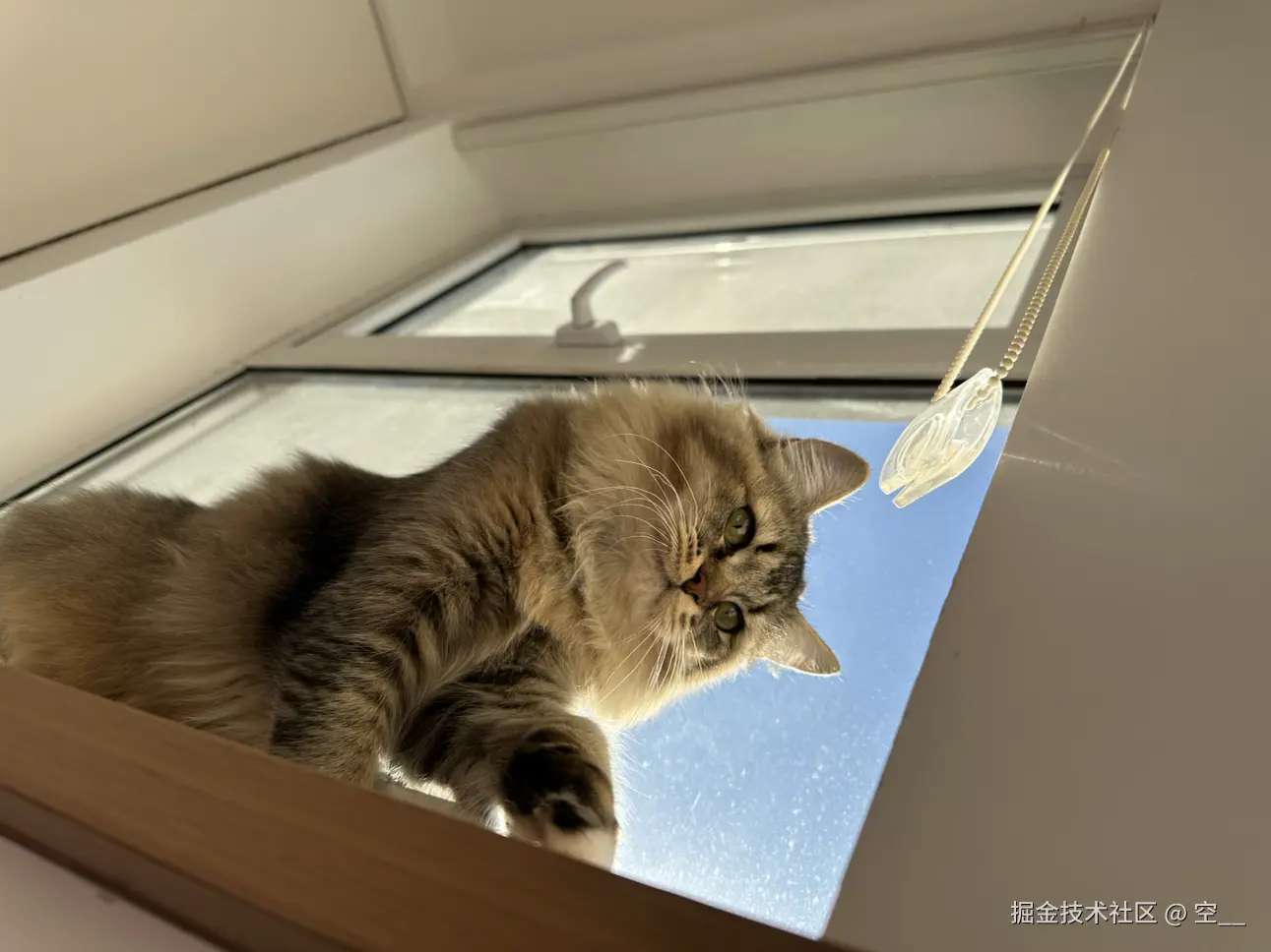 空__于2024-11-29 11:43发布的图片