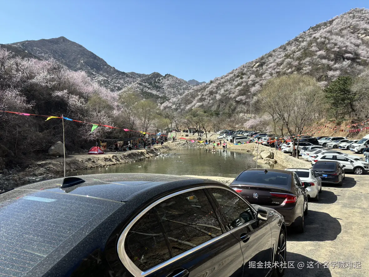 这个名字贼难起于2025-03-28 09:15发布的图片