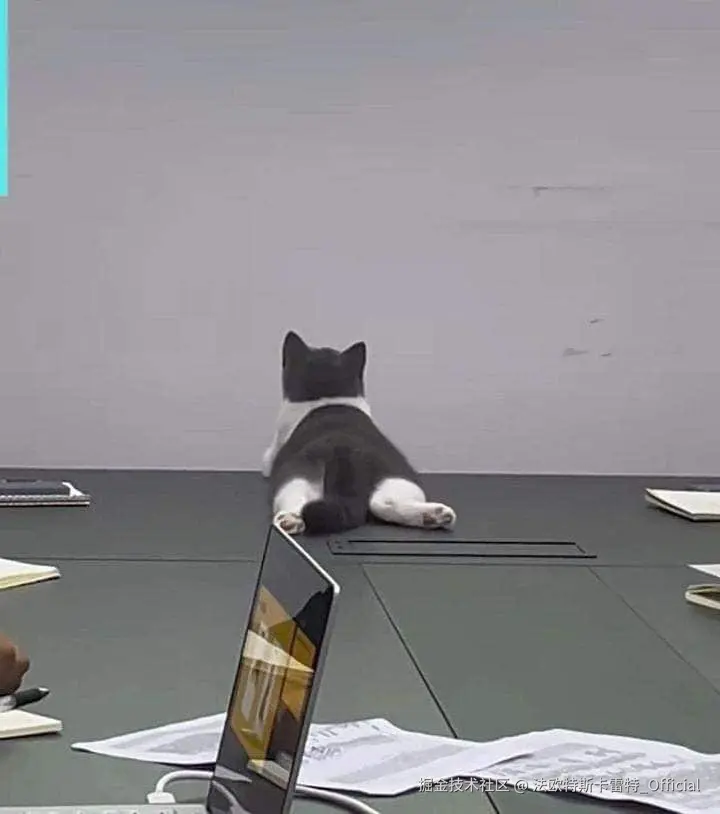 法欧特斯卡雷特_Official于2024-10-30 13:31发布的图片