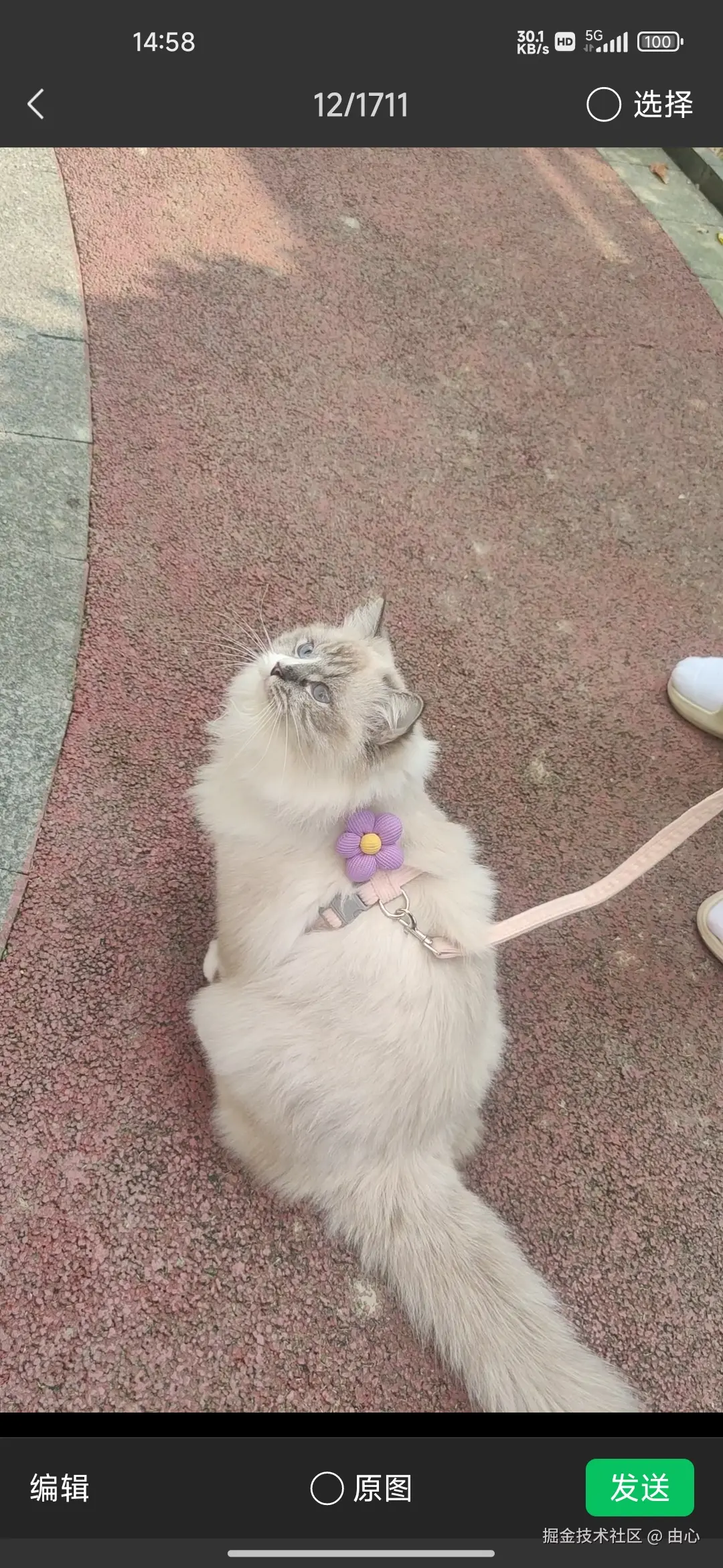 由心于2026-03-10 10:26发布的图片