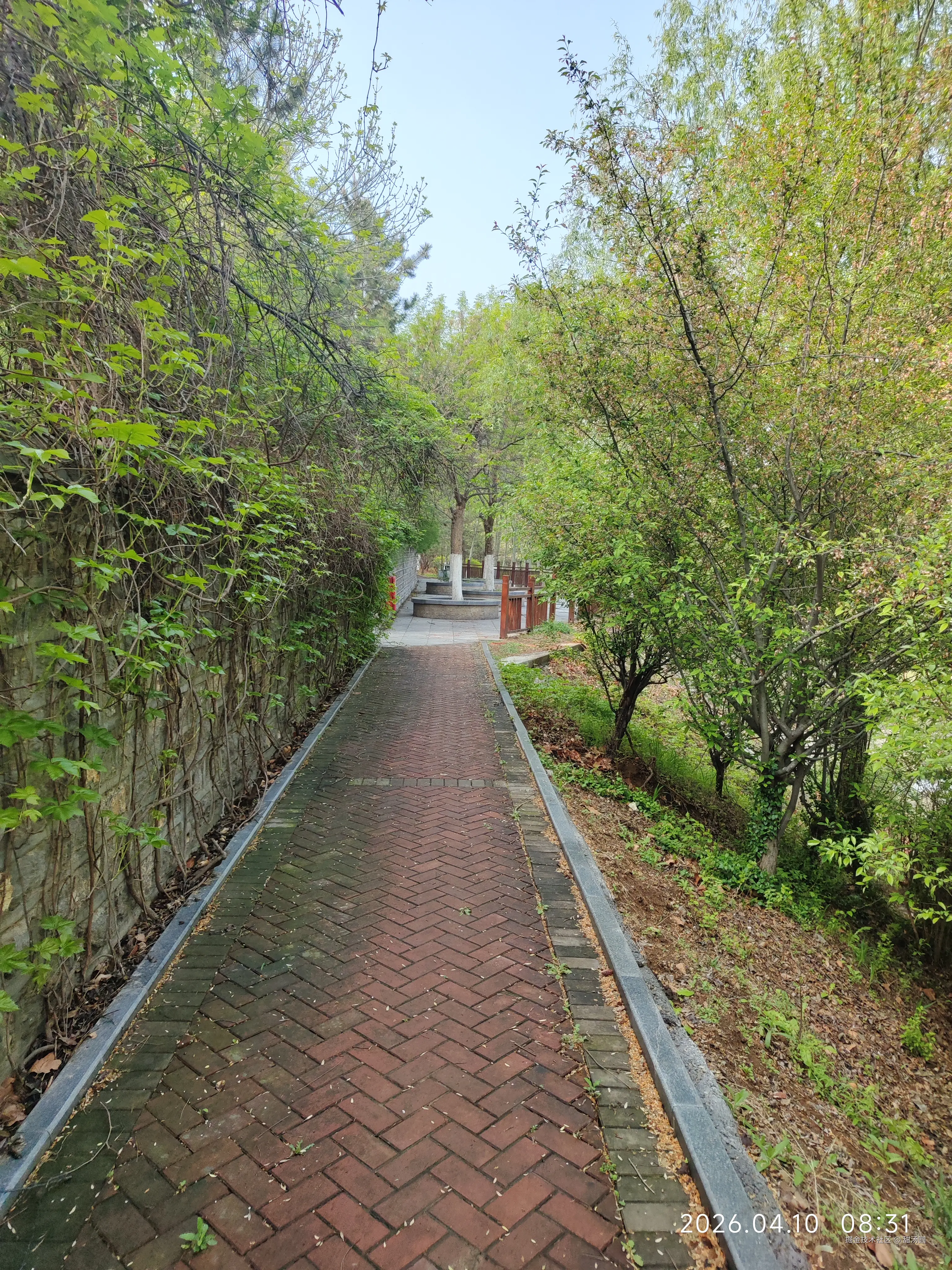 甜汤圆于2026-04-10 08:33发布的图片