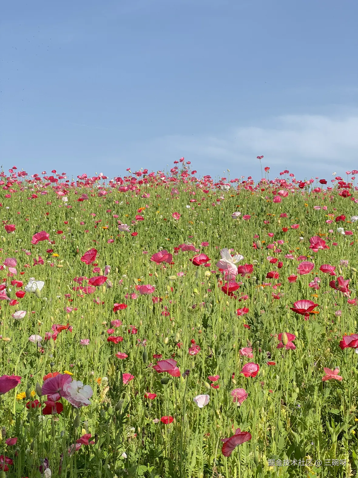 三碗呀于2025-05-08 15:17发布的图片