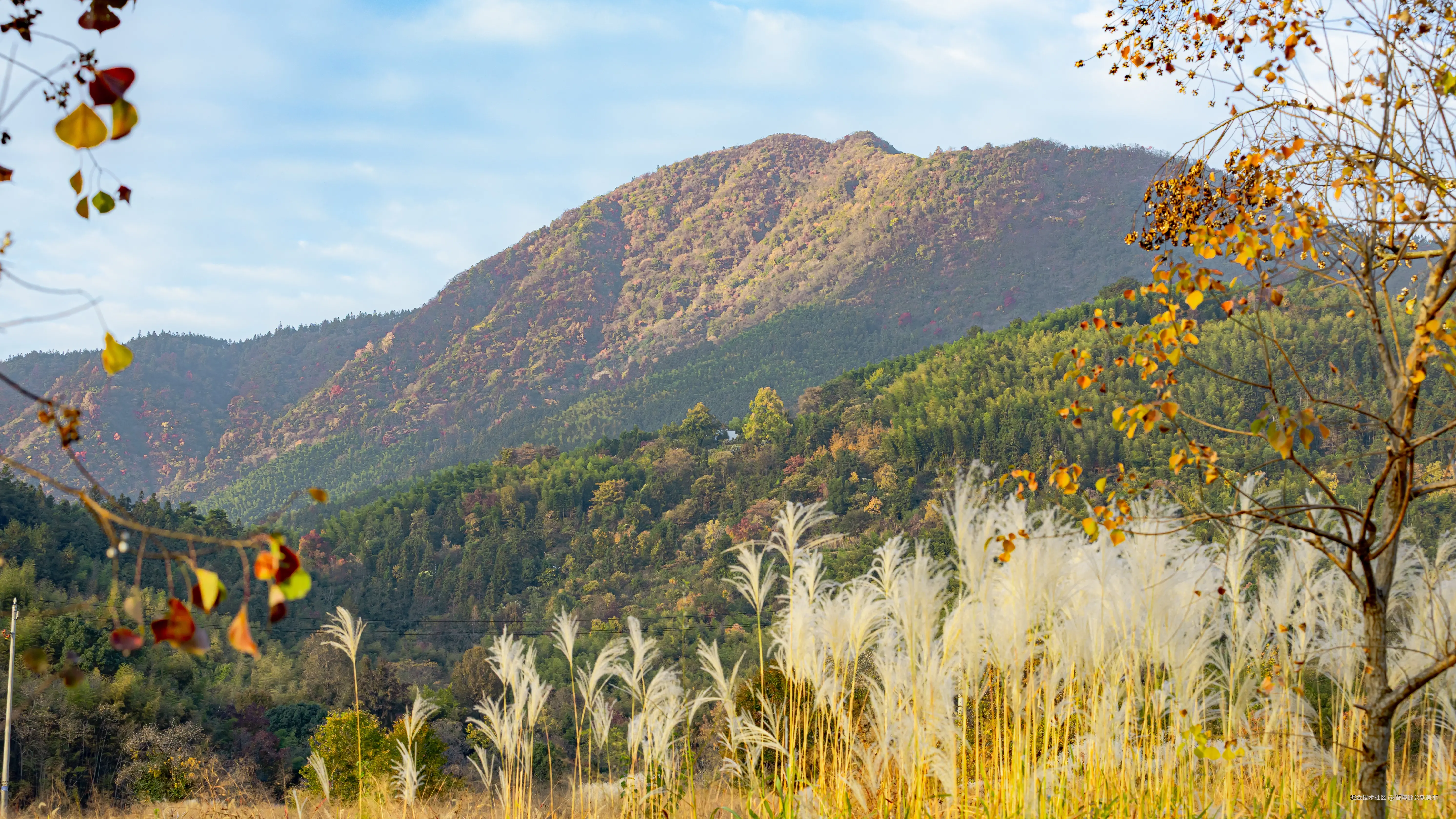 吾与徐公孰美耶于2025-11-18 13:46发布的图片