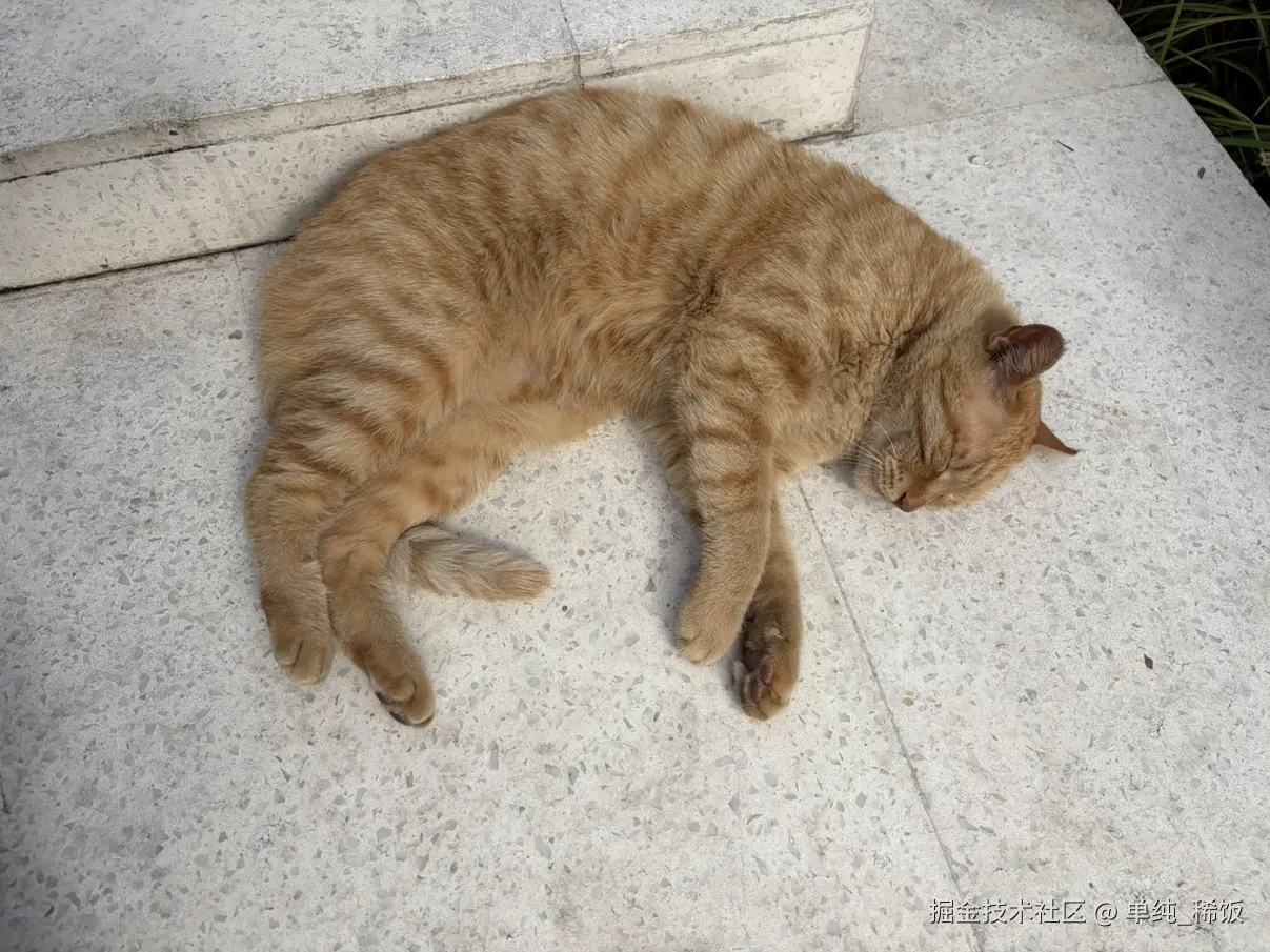 单纯_稀饭于2026-04-11 10:19发布的图片