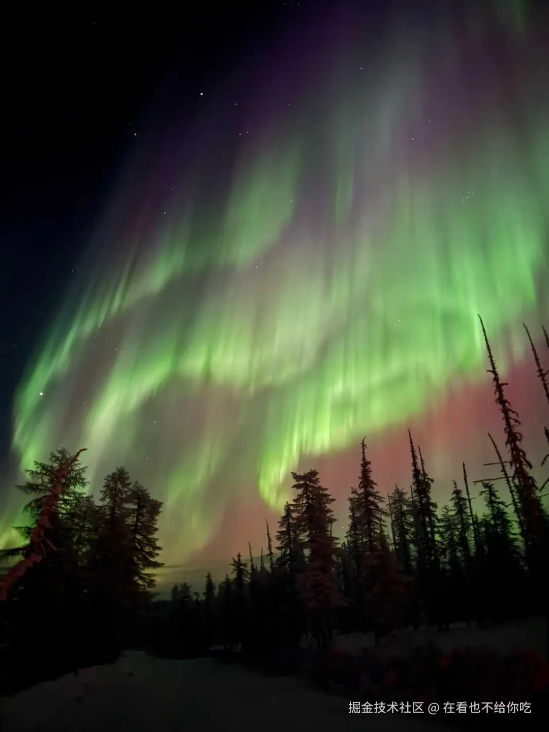 在看也不给你吃于2026-01-22 13:41发布的图片