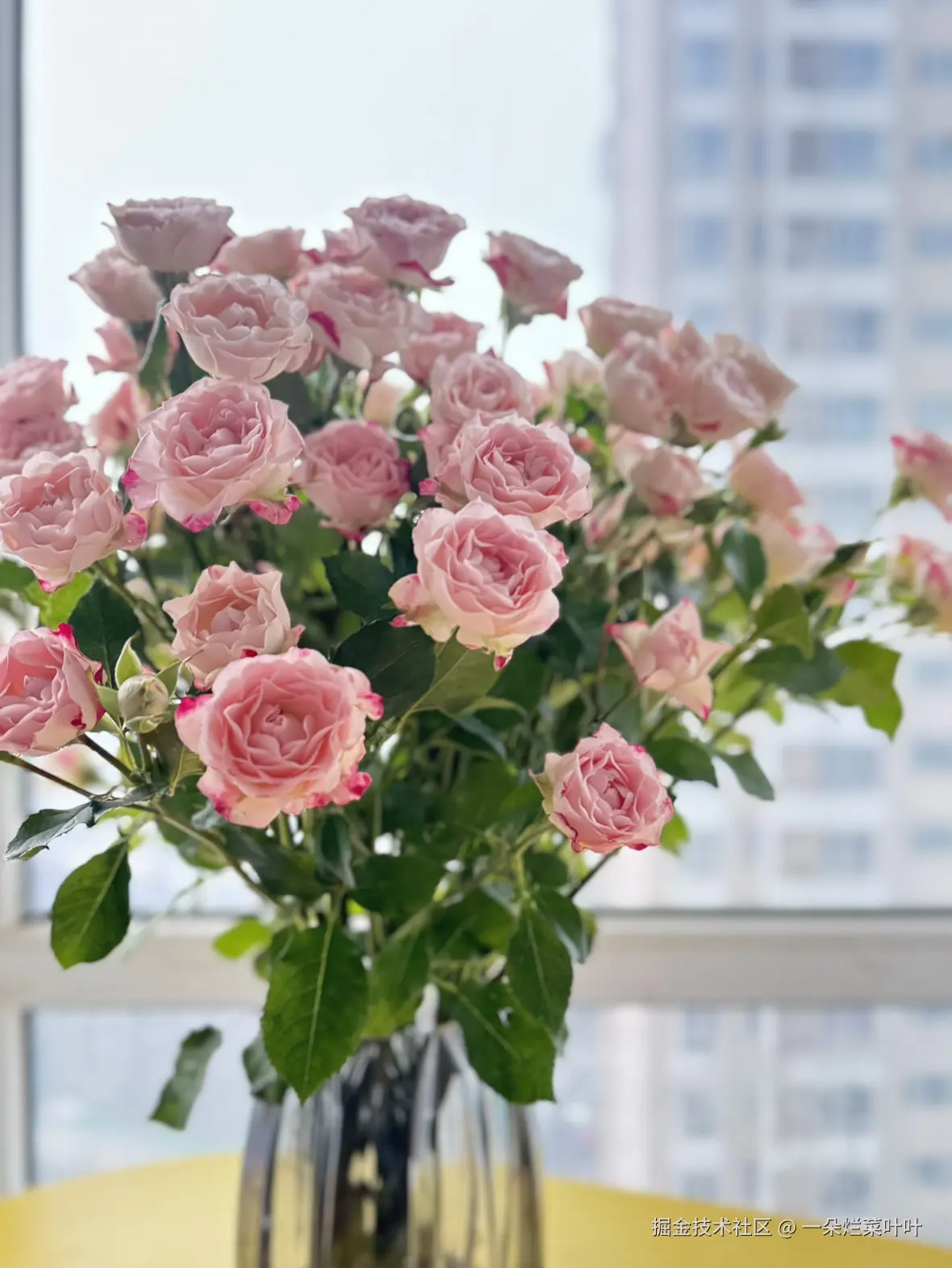 一朵烂菜叶叶于2024-11-15 13:27发布的图片