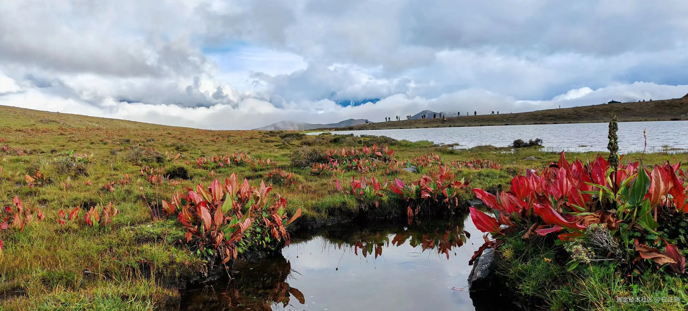 已注销于2024-09-18 08:39发布的图片