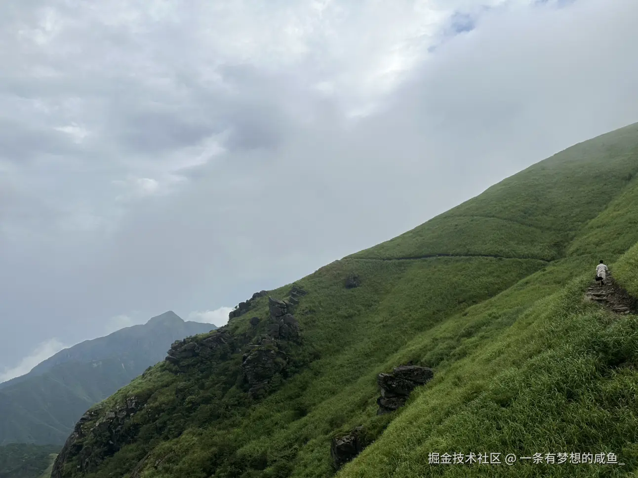 一条有梦想的咸鱼_于2025-07-28 14:12发布的图片