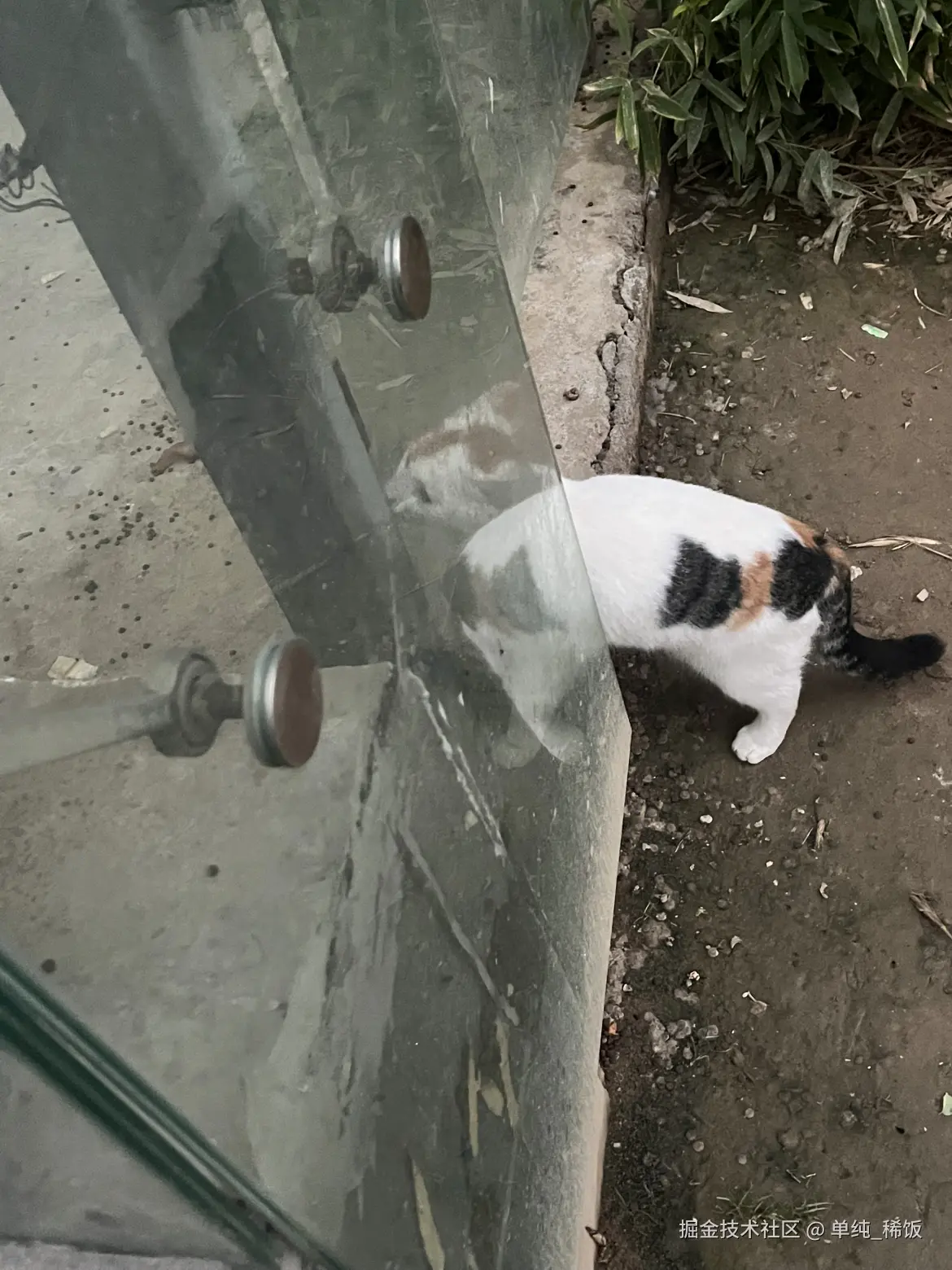 单纯_稀饭于2025-10-28 08:29发布的图片