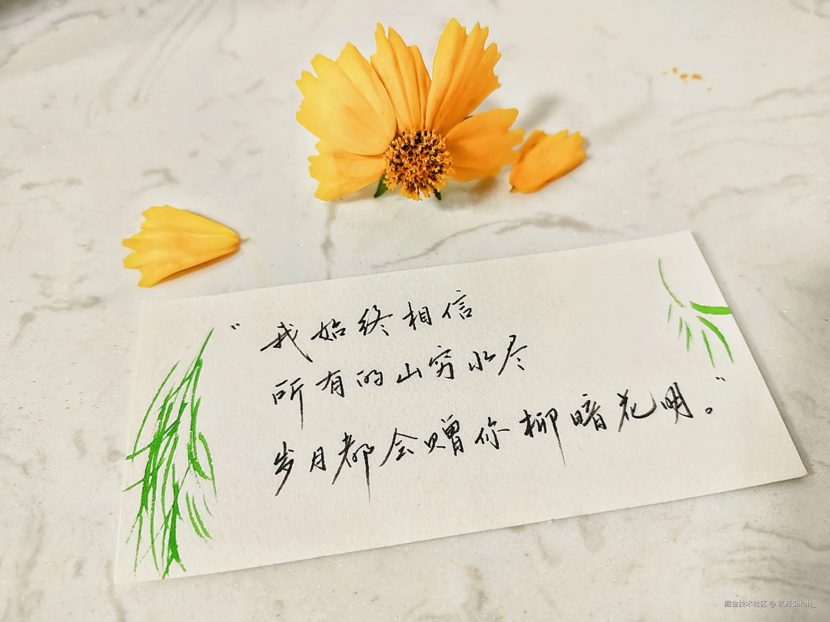 玖月Sarah_于2025-05-28 08:33发布的图片