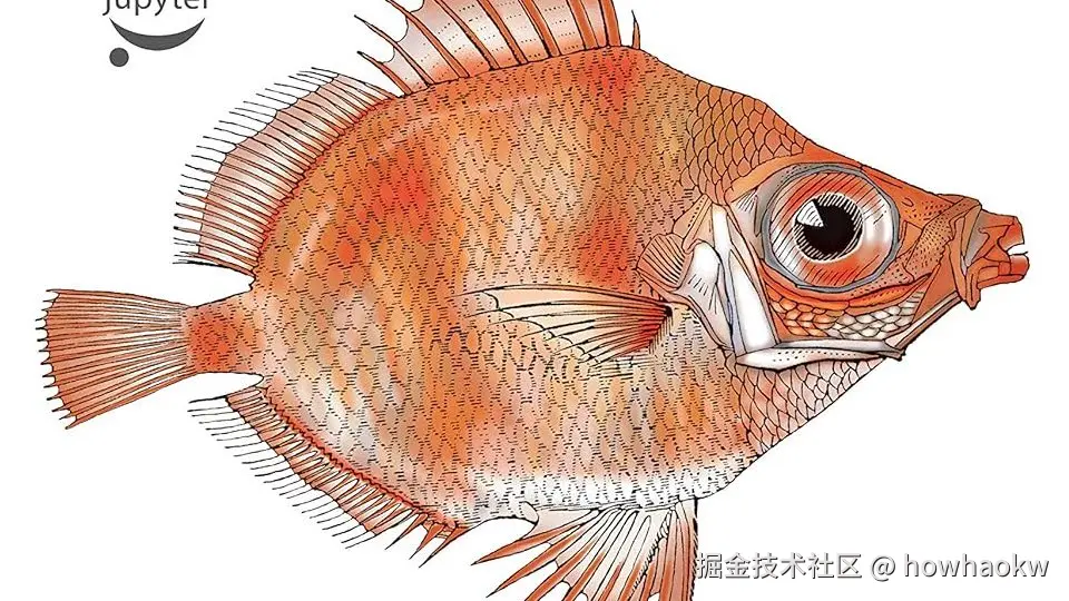 Deep Learning Journey｜深度学习之旅