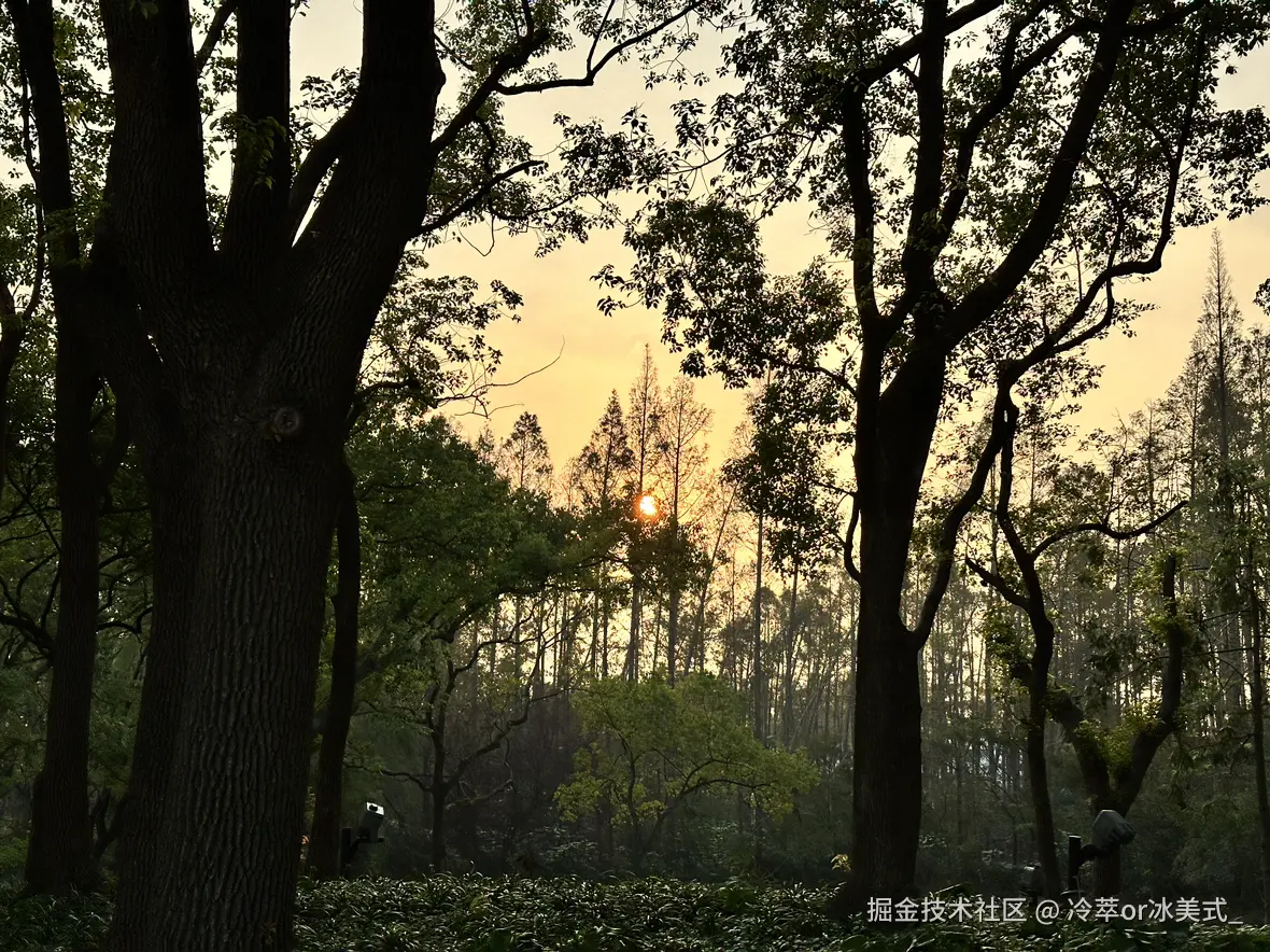 冷萃or冰美式_于2024-11-30 09:55发布的图片