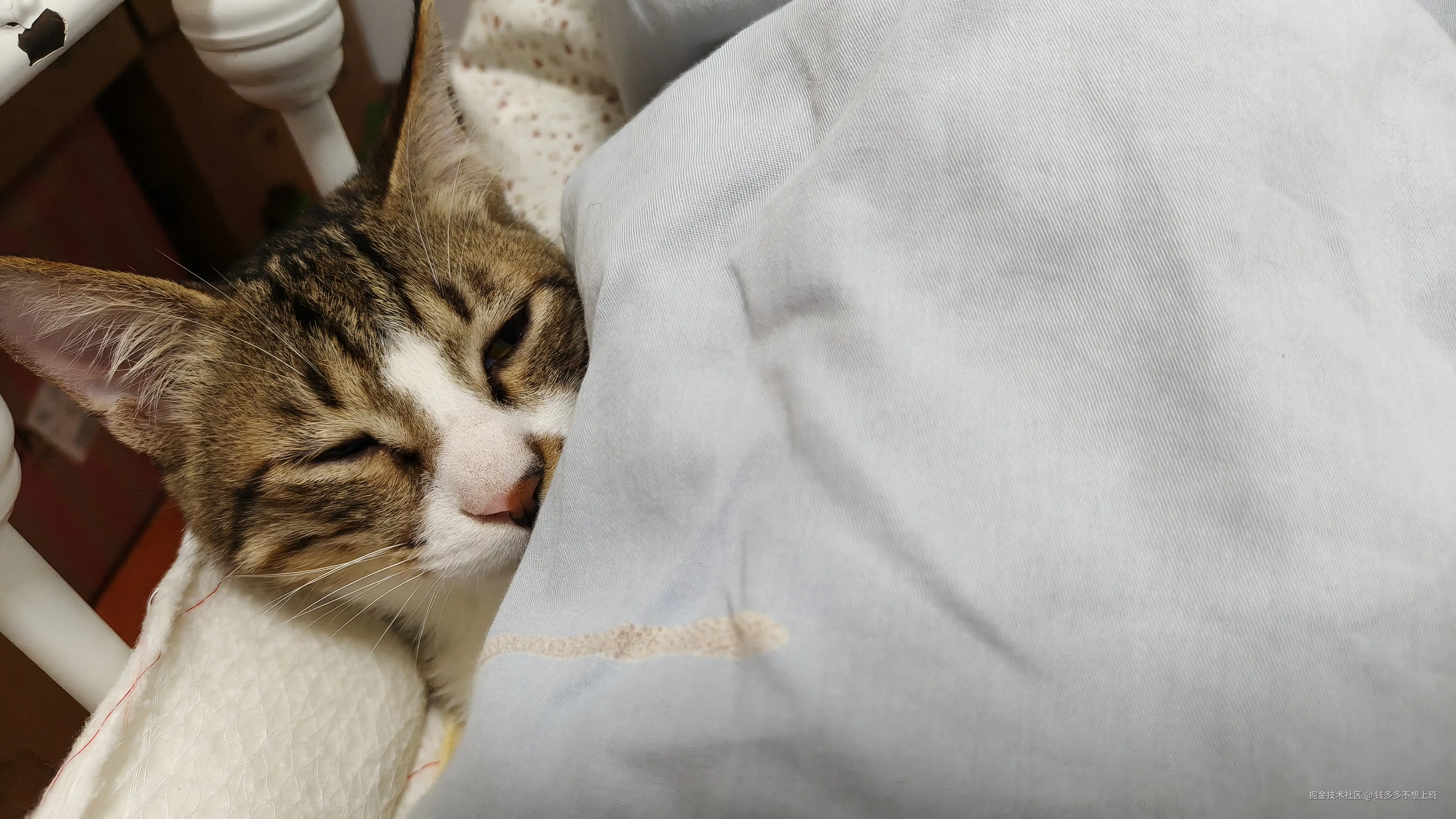 钱多多不想上班于2025-11-10 14:01发布的图片