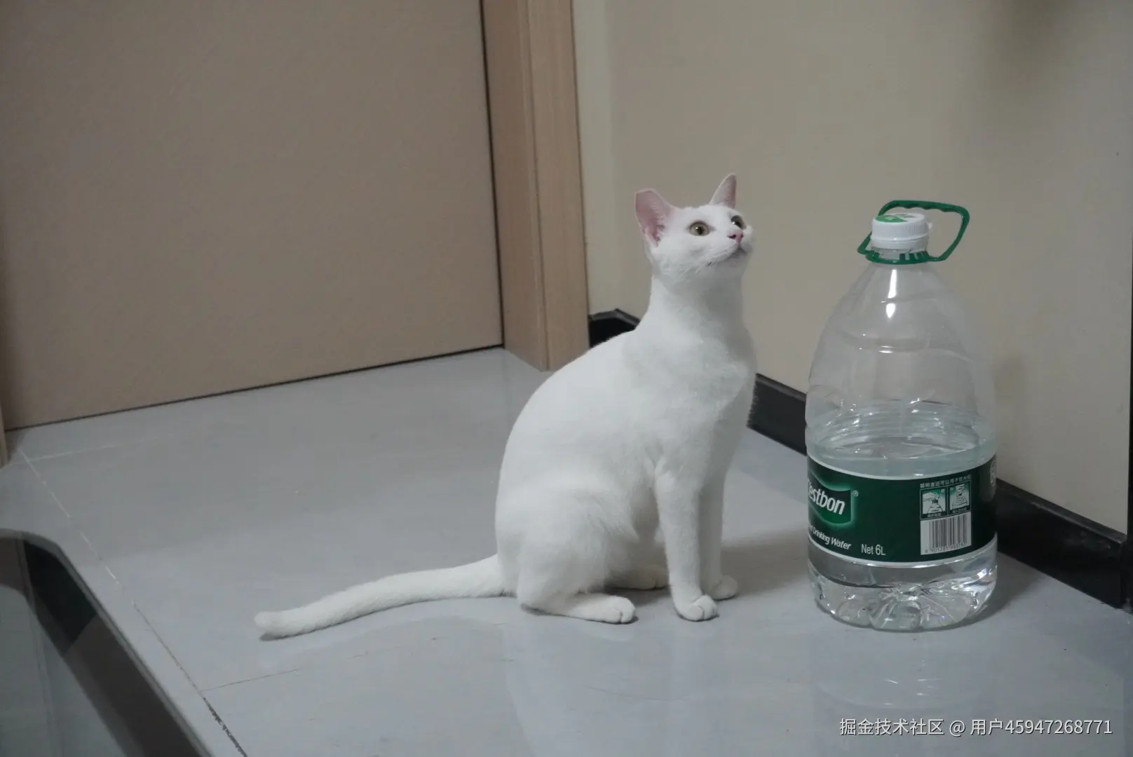 用户45947268771于2025-07-18 08:48发布的图片