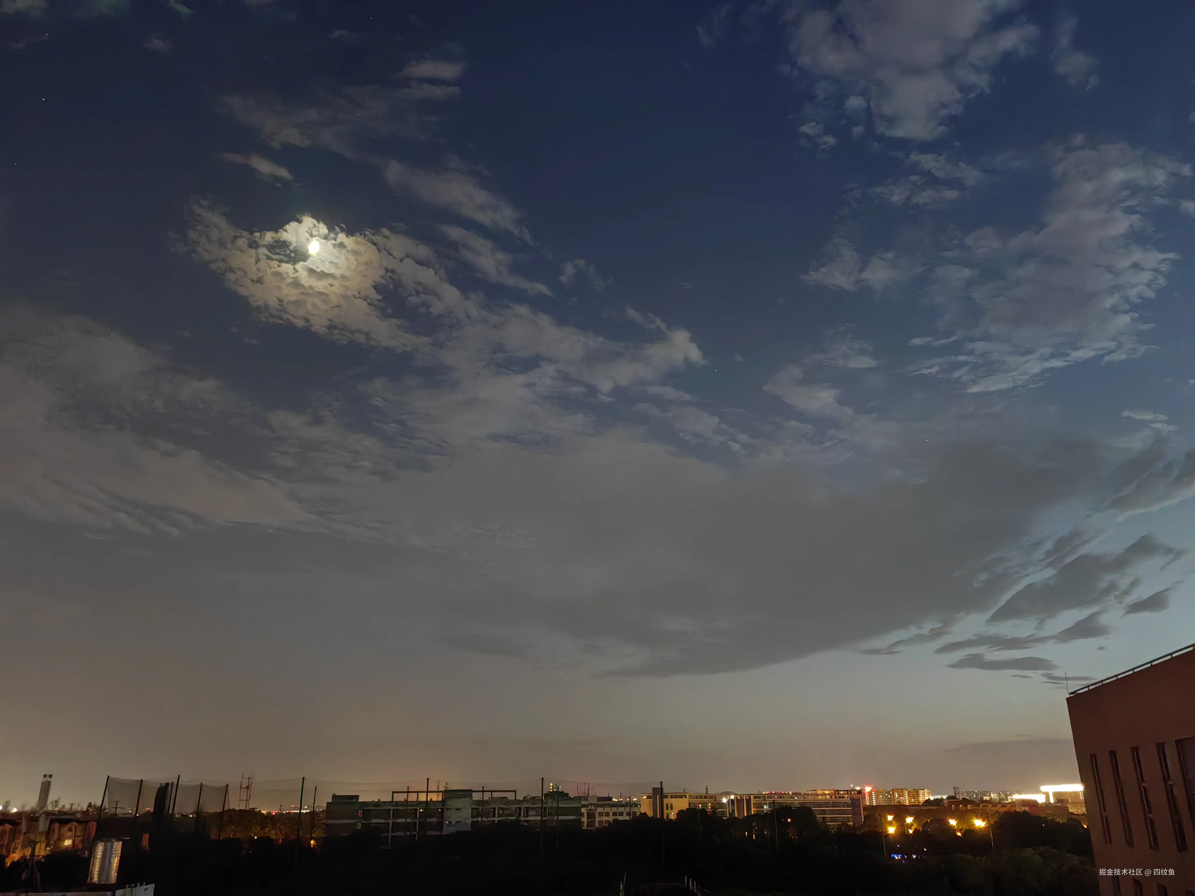 四纹鱼于2024-08-12 20:31发布的图片