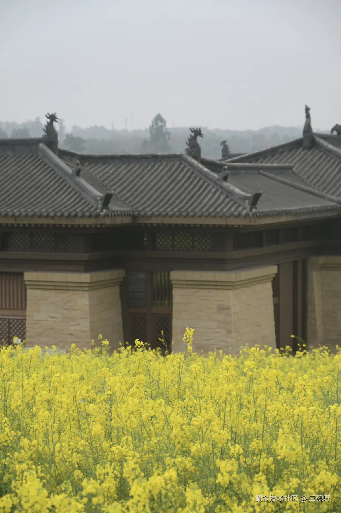 三碗呀于2026-03-09 10:37发布的图片