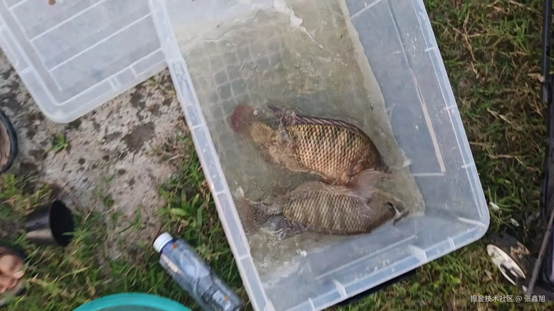 张鑫旭于2025-07-03 10:28发布的图片