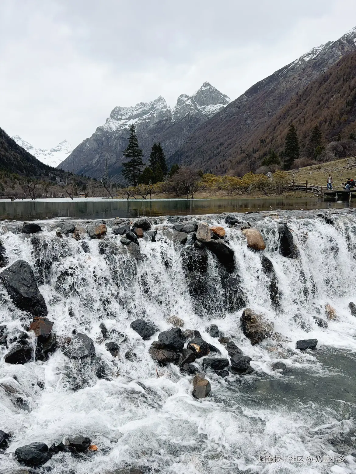 奶盖小多于2026-04-21 16:29发布的图片