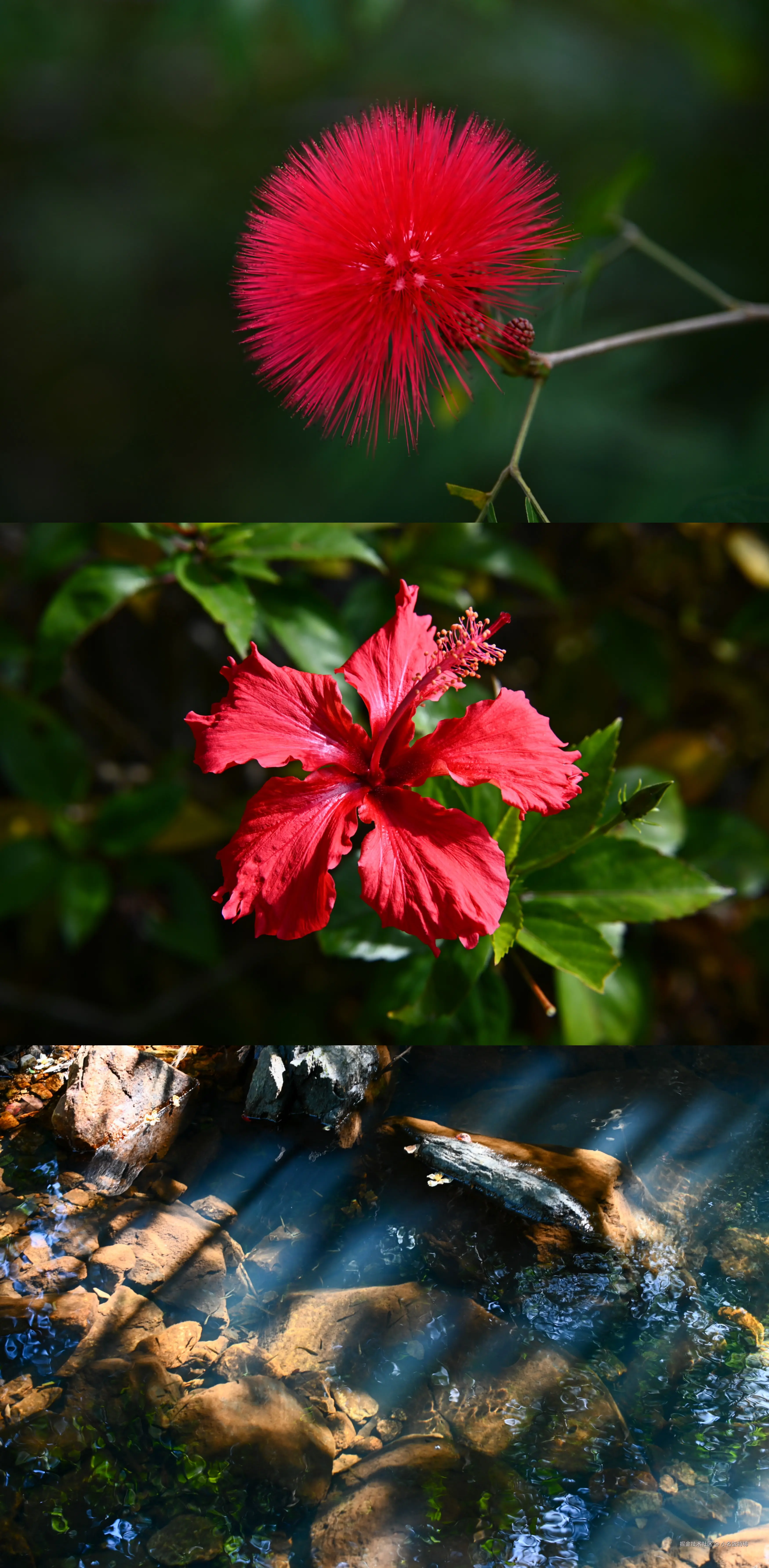 小名饭特稀于2025-12-01 10:22发布的图片