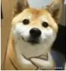前端日常记录