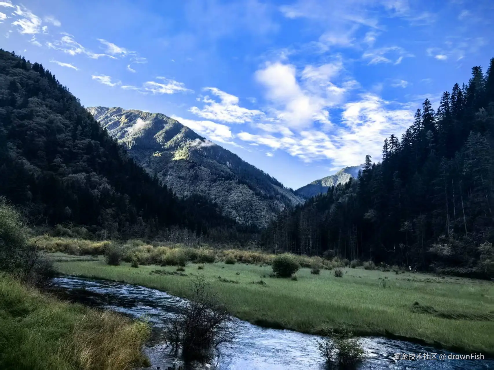 drownFish于2025-10-09 09:42发布的图片