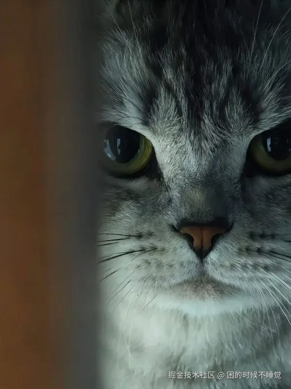 困的时候不睡觉于2026-04-08 17:21发布的图片