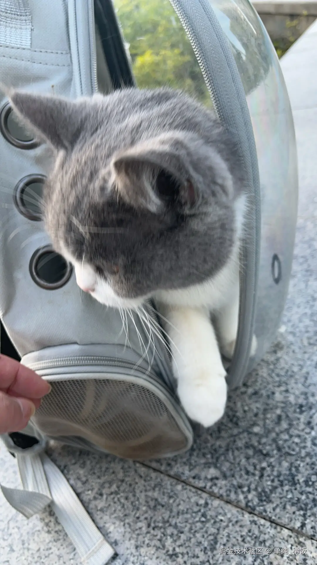 单纯_稀饭于2024-11-29 17:47发布的图片