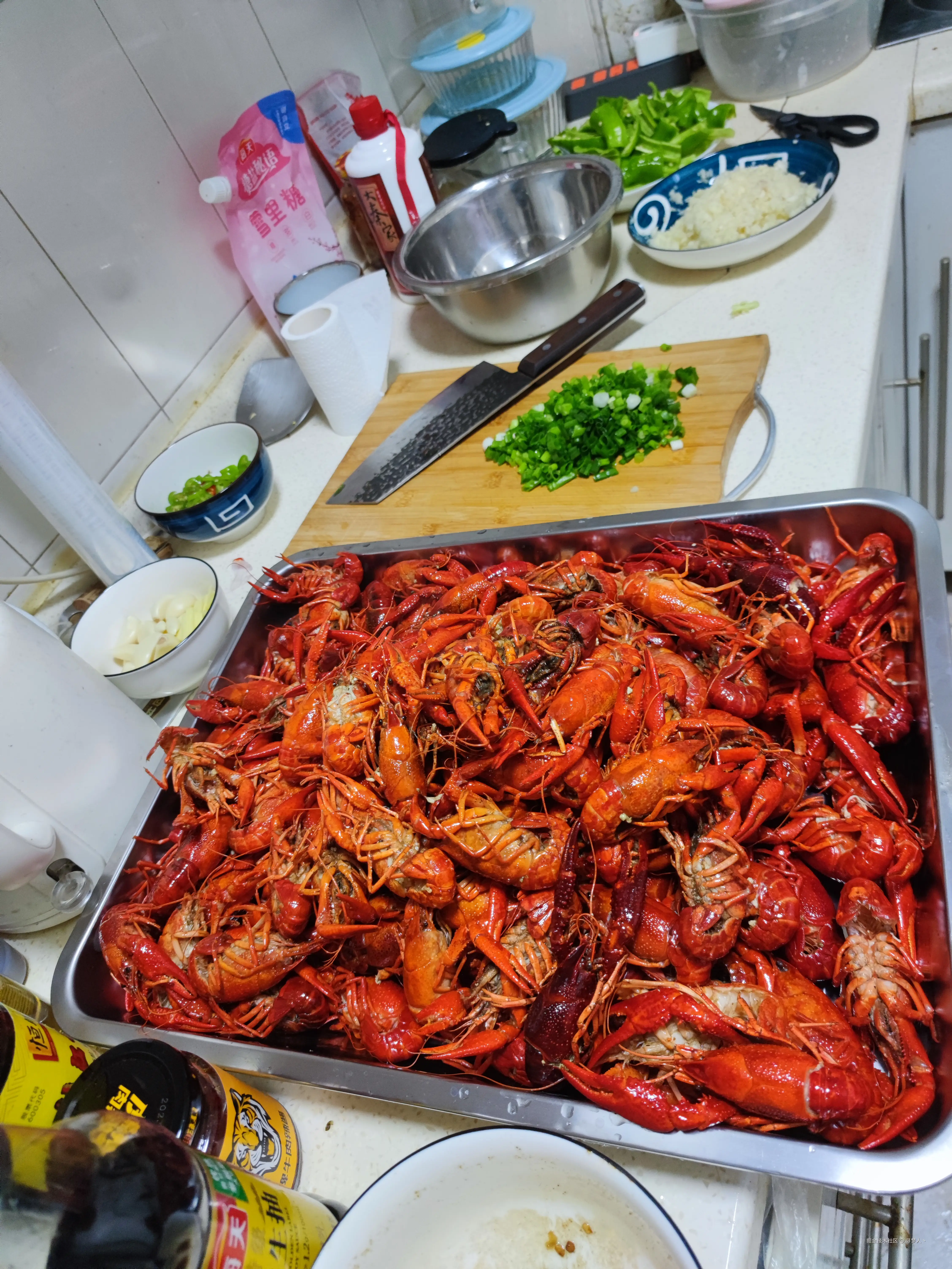 寻梦人丶于2025-04-10 06:35发布的图片