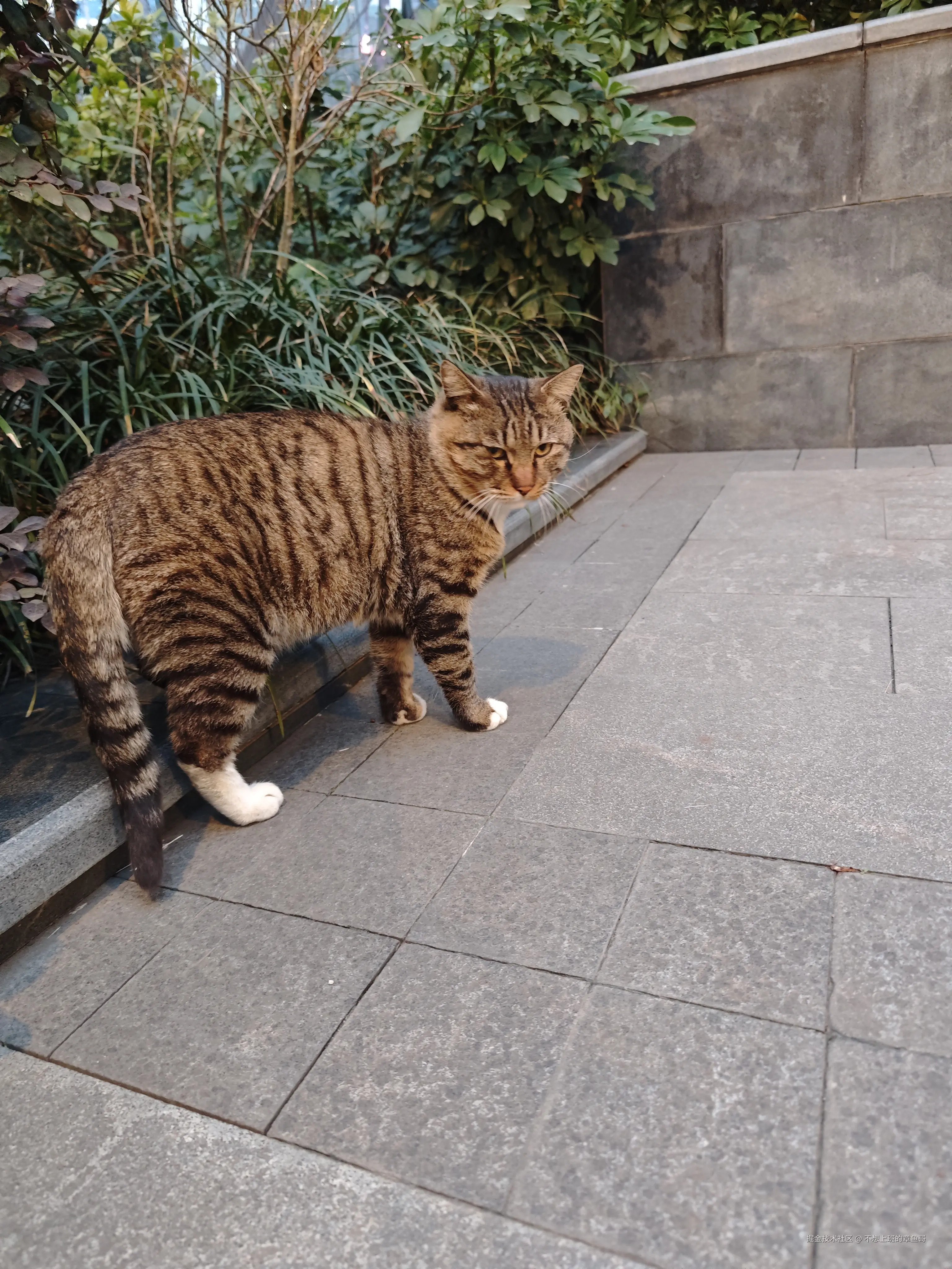 不想上班的章鱼哥于2025-04-21 09:15发布的图片