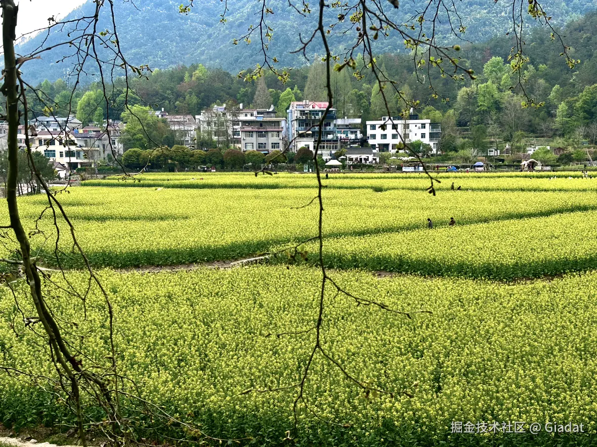 Giadat于2025-04-08 15:11发布的图片