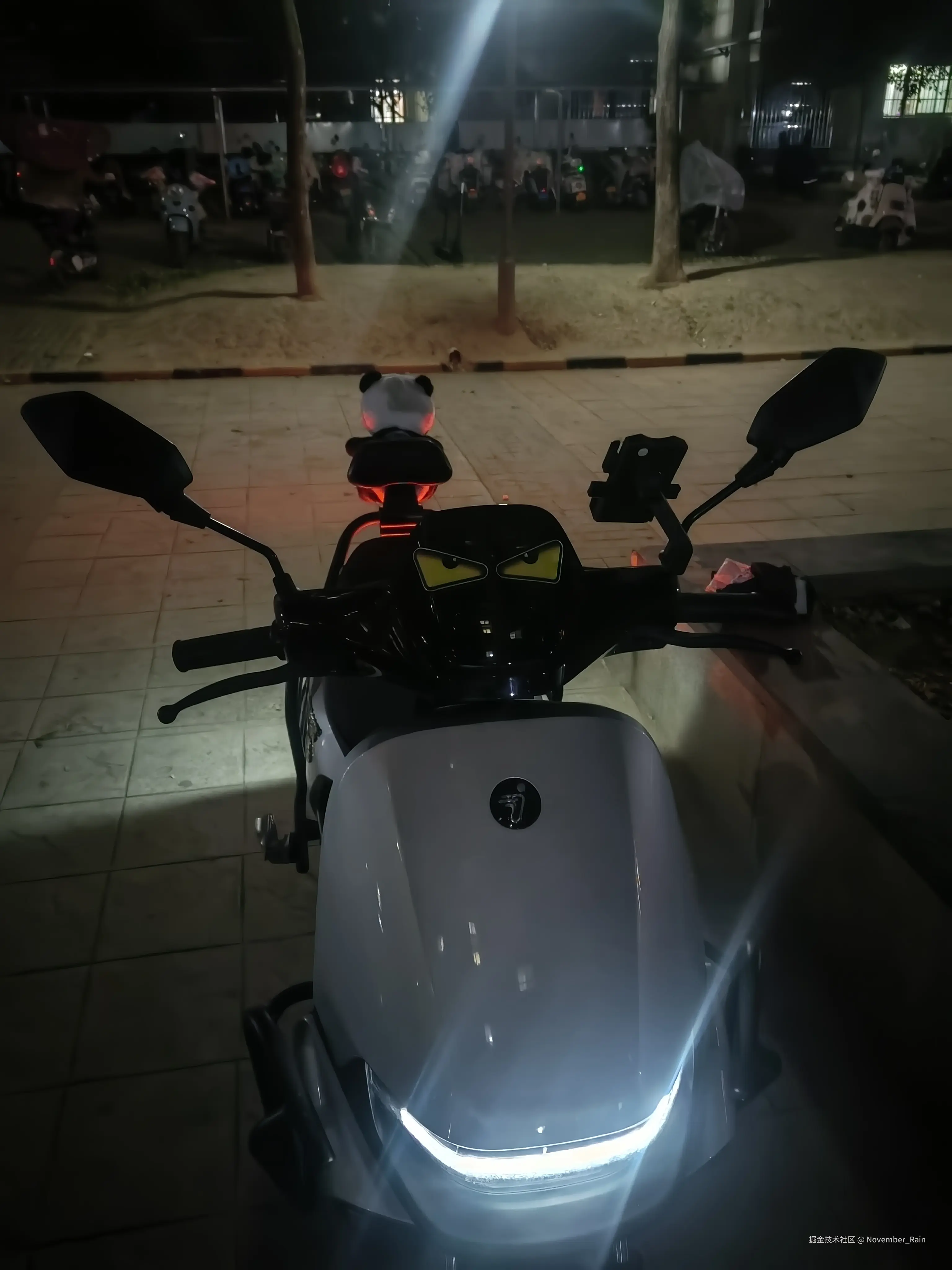 November_Rain于2024-12-20 11:32发布的图片