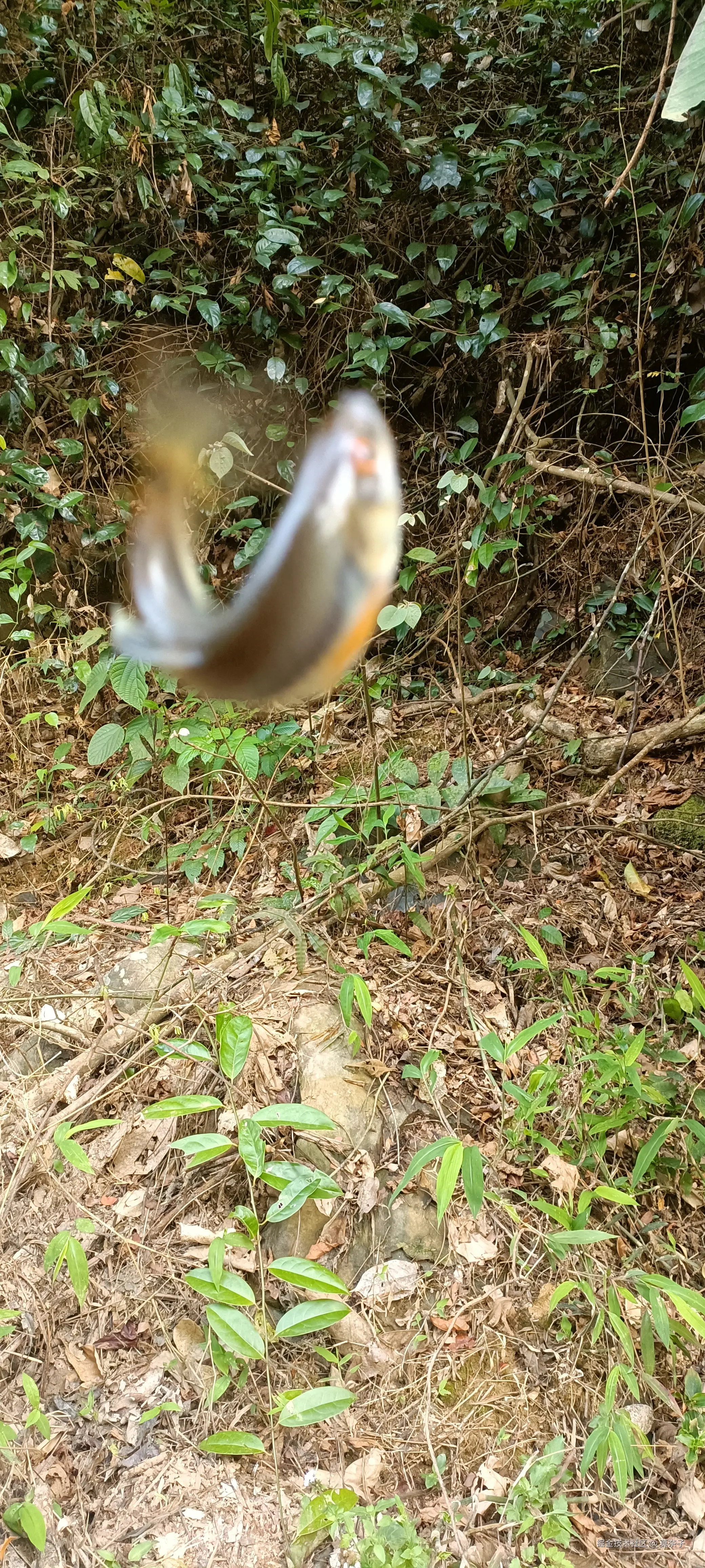 莫奈子于2025-03-27 18:39发布的图片