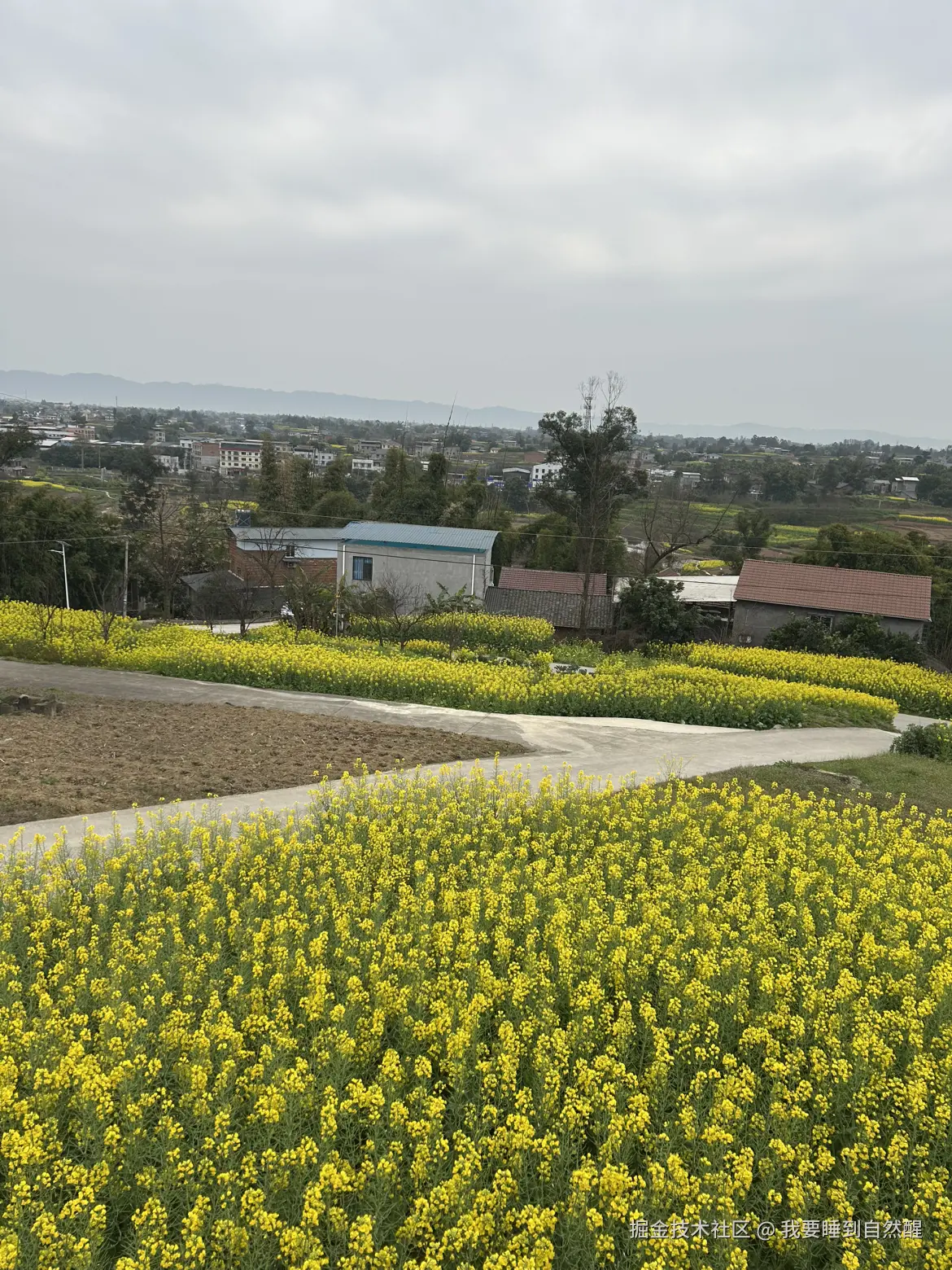 我要睡到自然醒于2026-02-16 23:28发布的图片