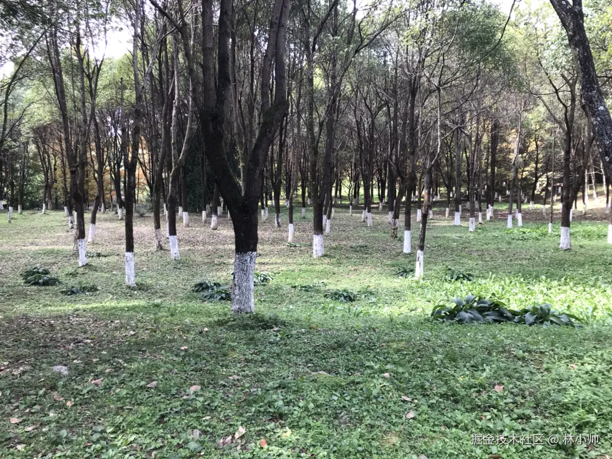 林小帅于2024-10-28 15:38发布的图片