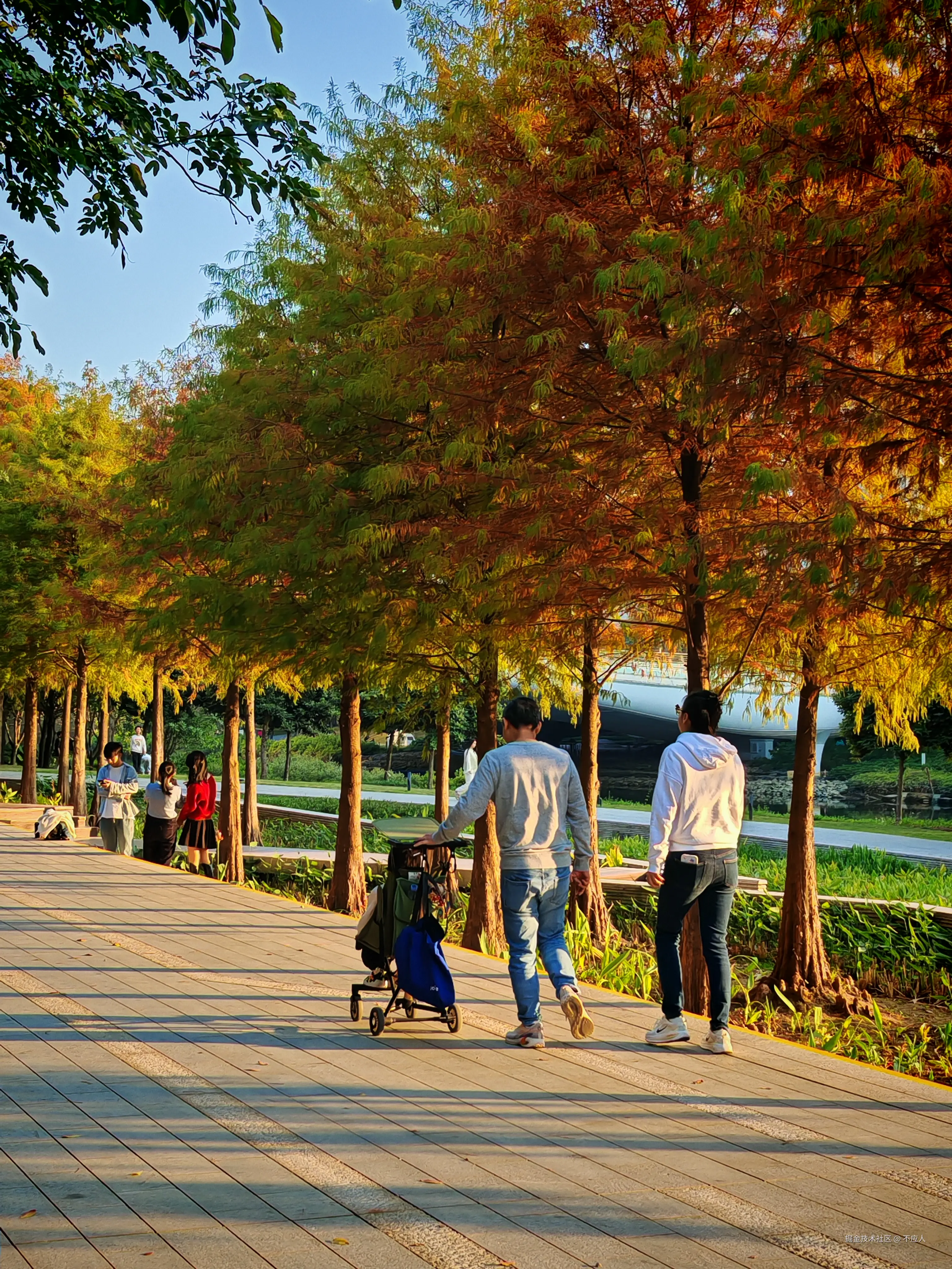 不应人于2026-01-18 19:26发布的图片