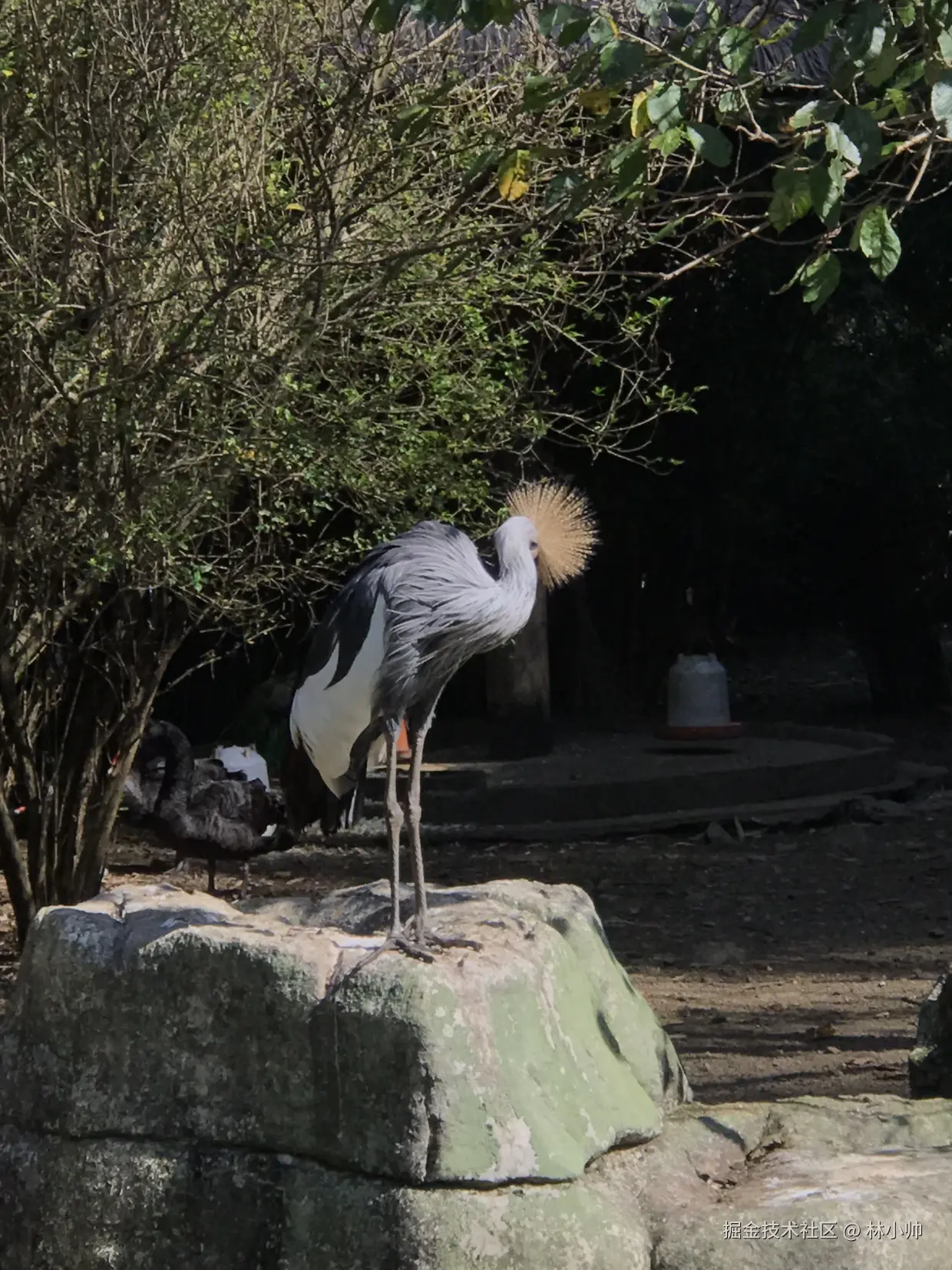 林小帅于2024-10-28 15:38发布的图片