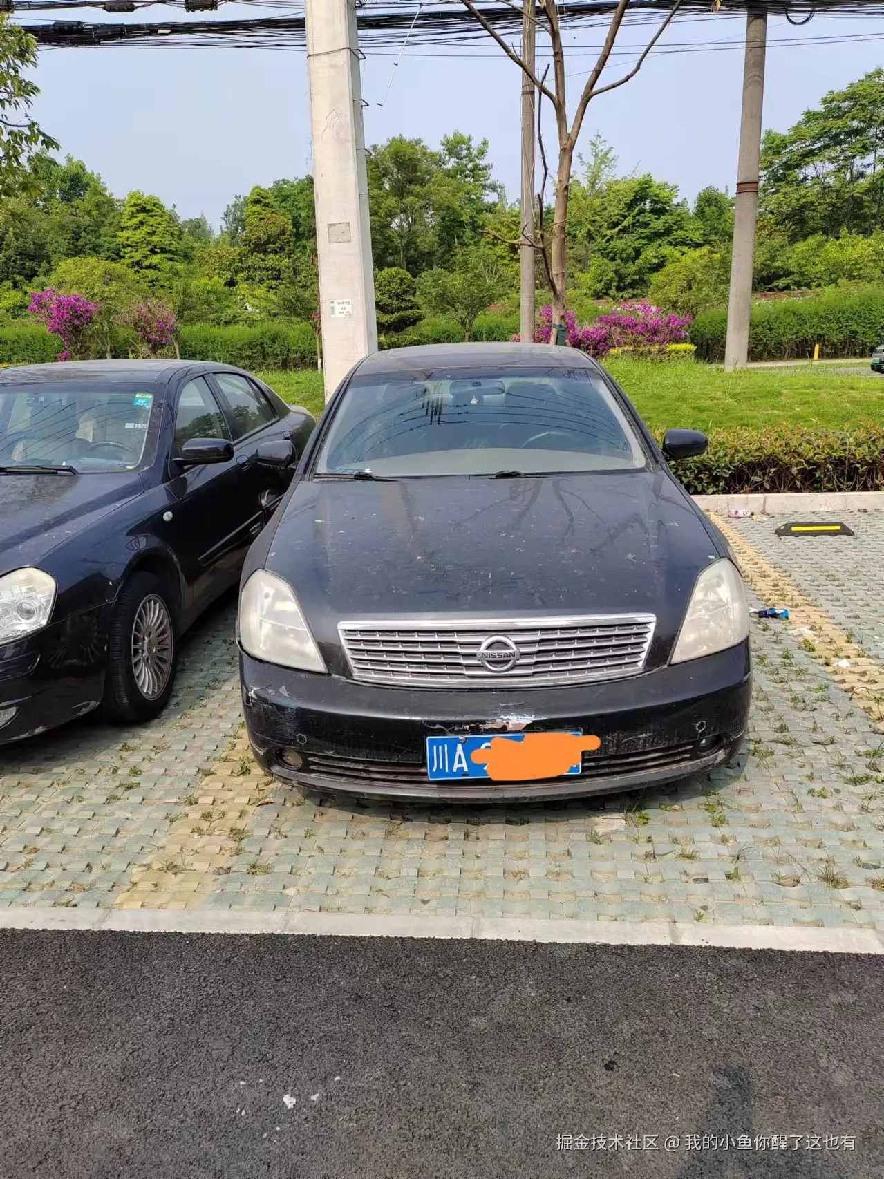 我的小鱼你醒了这也有于2025-08-15 08:41发布的图片