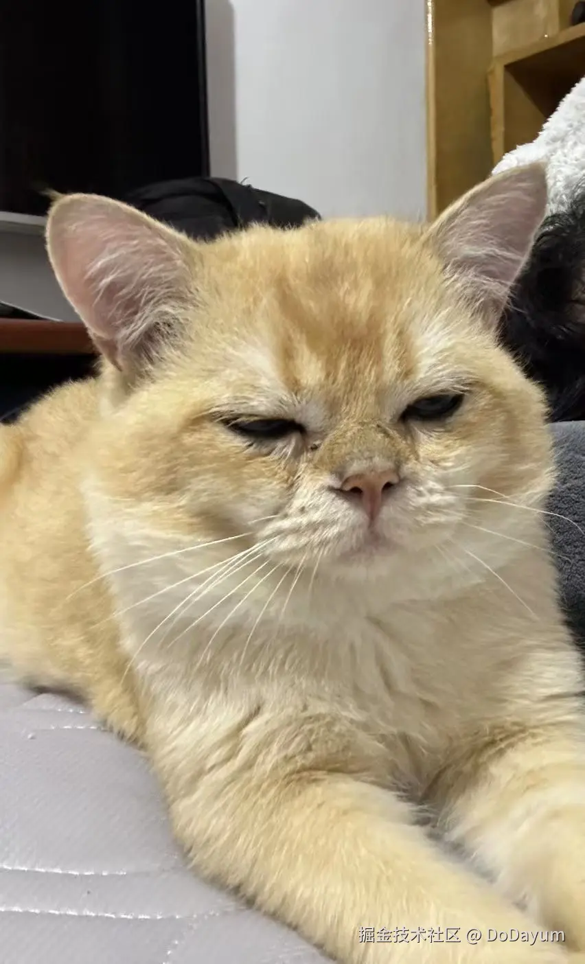 DoDayum于2024-11-20 11:23发布的图片