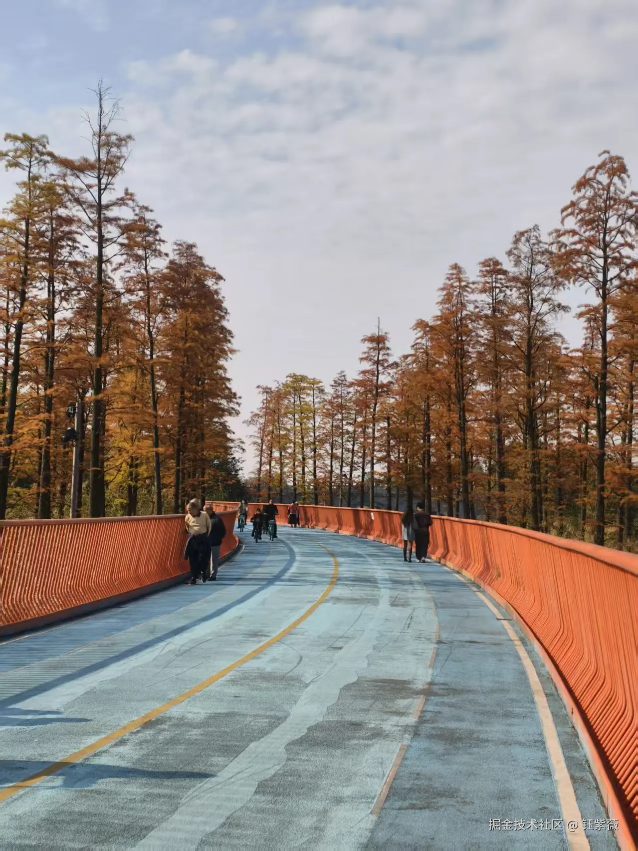 钰紫薇于2025-11-24 09:27发布的图片