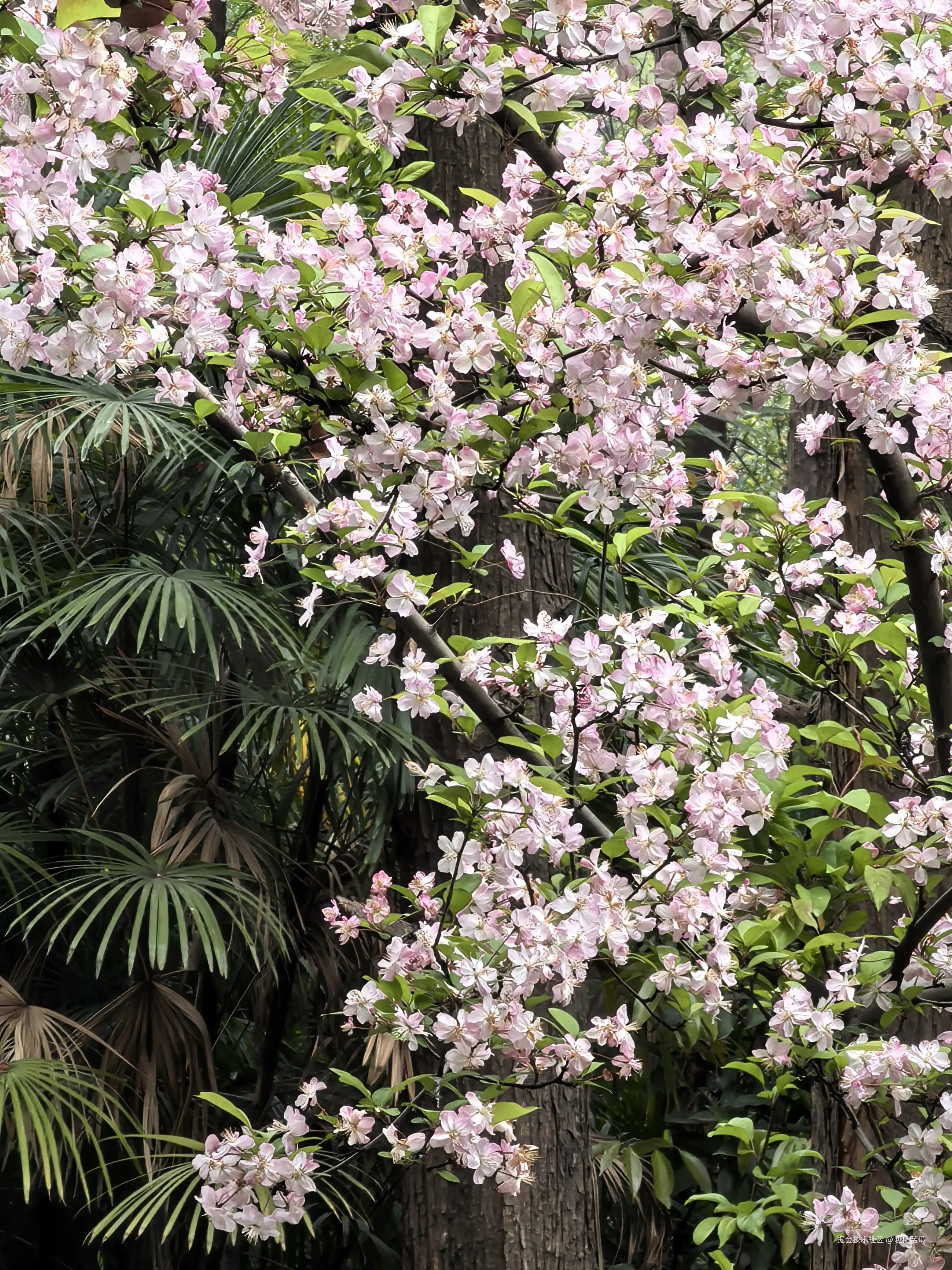 糖醋苦瓜于2026-03-23 16:28发布的图片