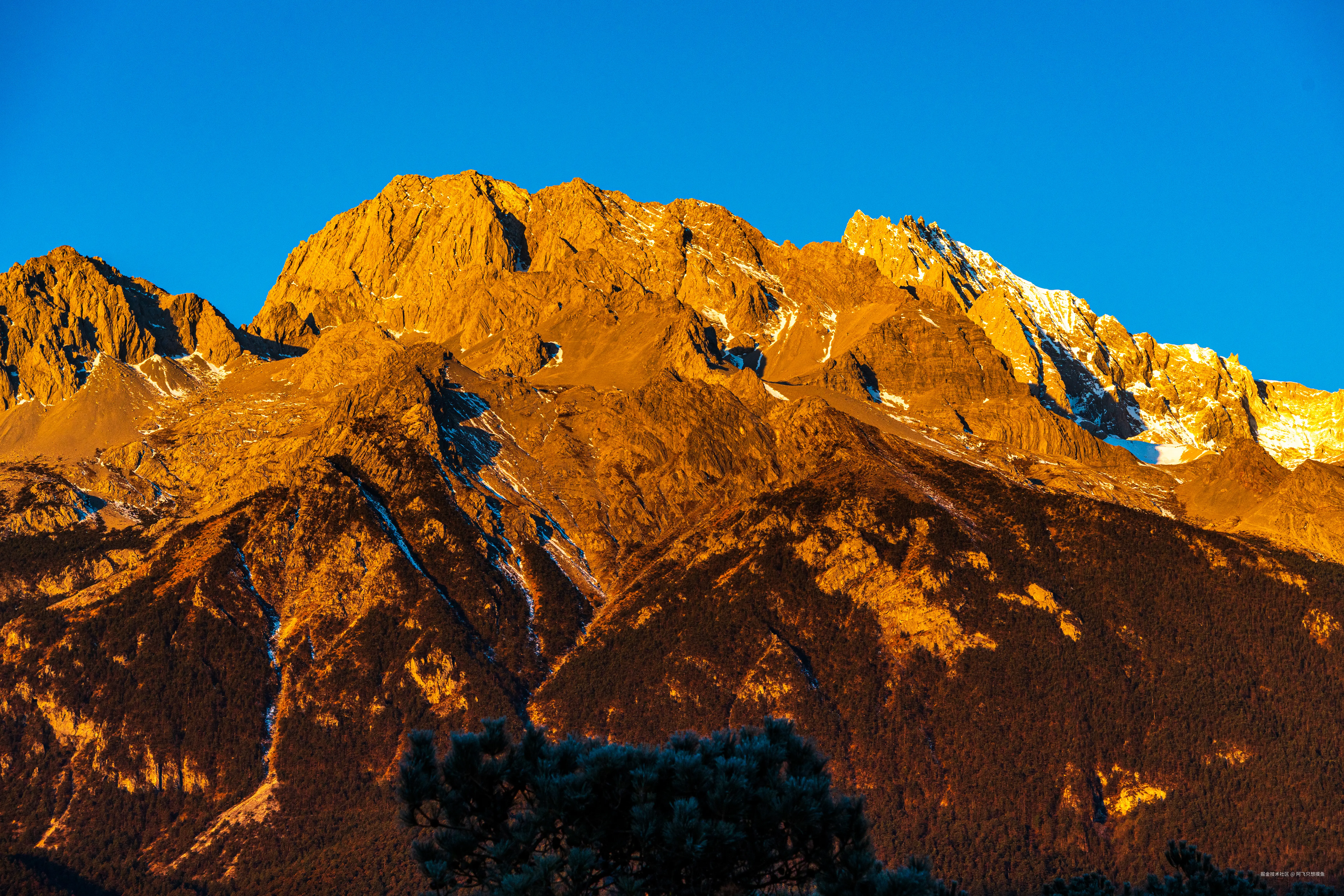 阿飞只想摸鱼于2026-02-11 14:53发布的图片