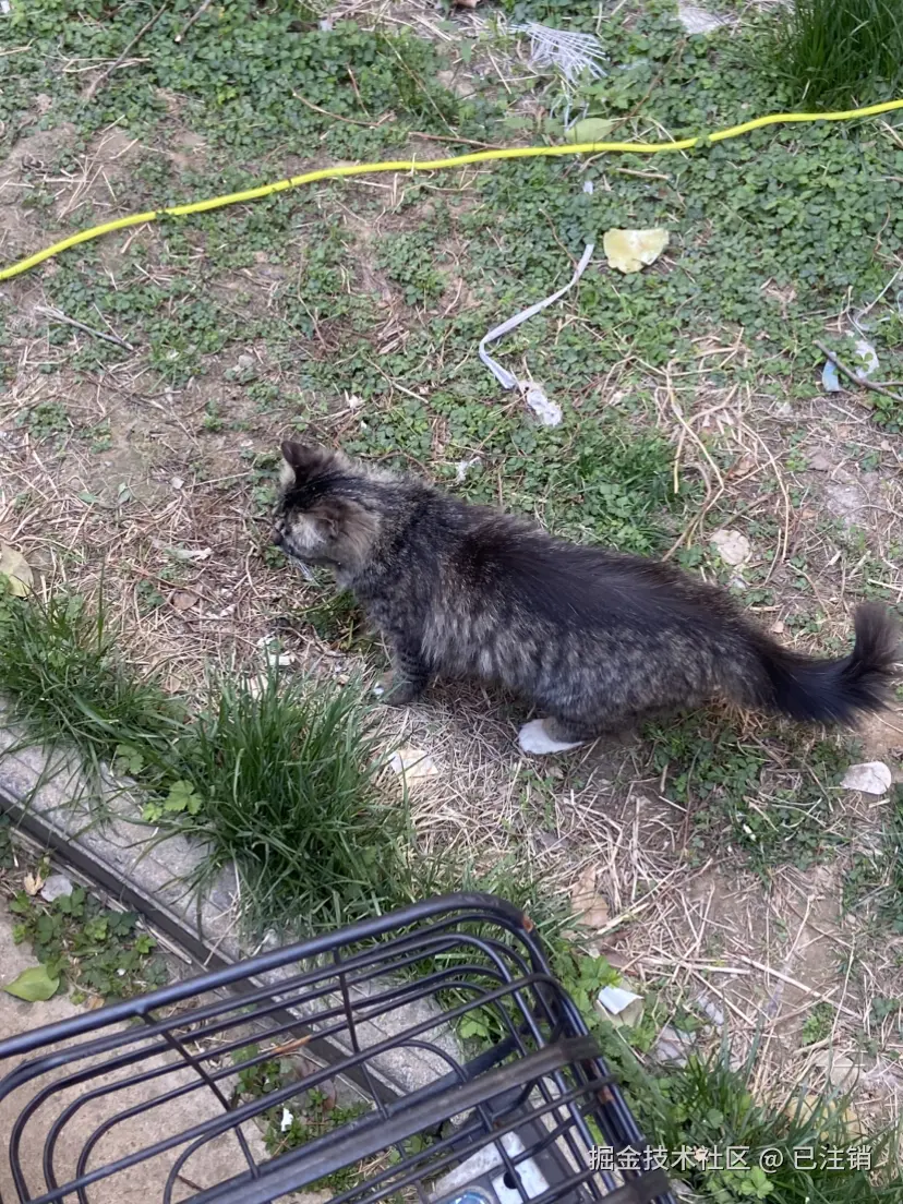 已注销于2025-04-06 11:58发布的图片