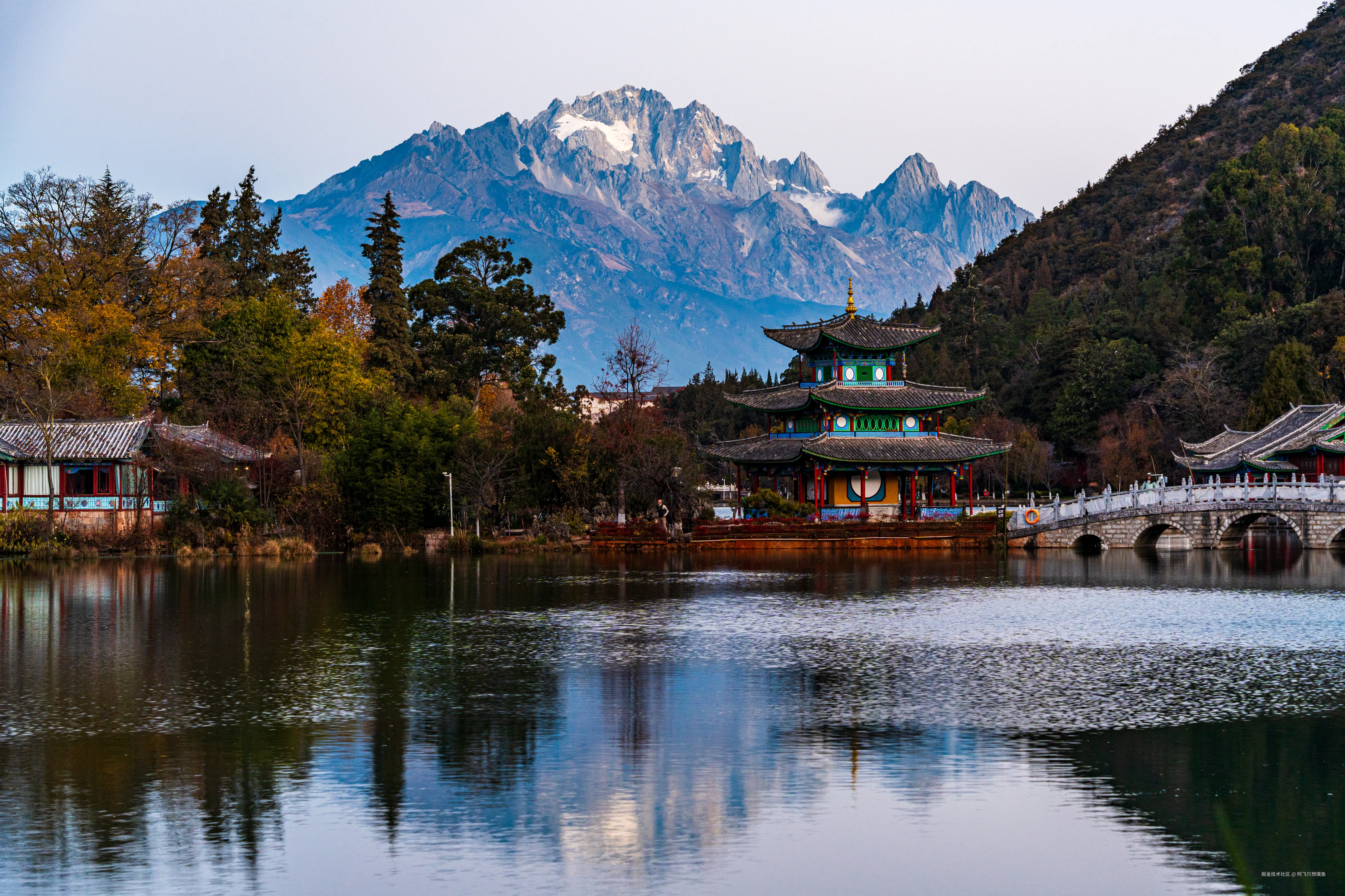 阿飞只想摸鱼于2026-02-11 14:49发布的图片