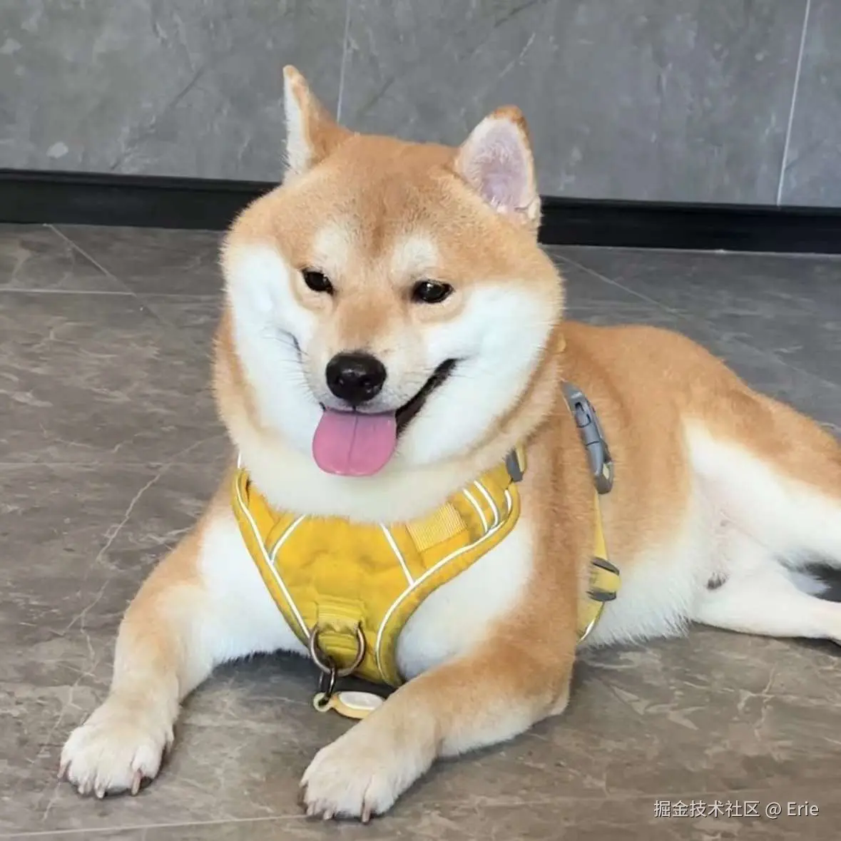 Erie于2024-09-09 01:45发布的图片