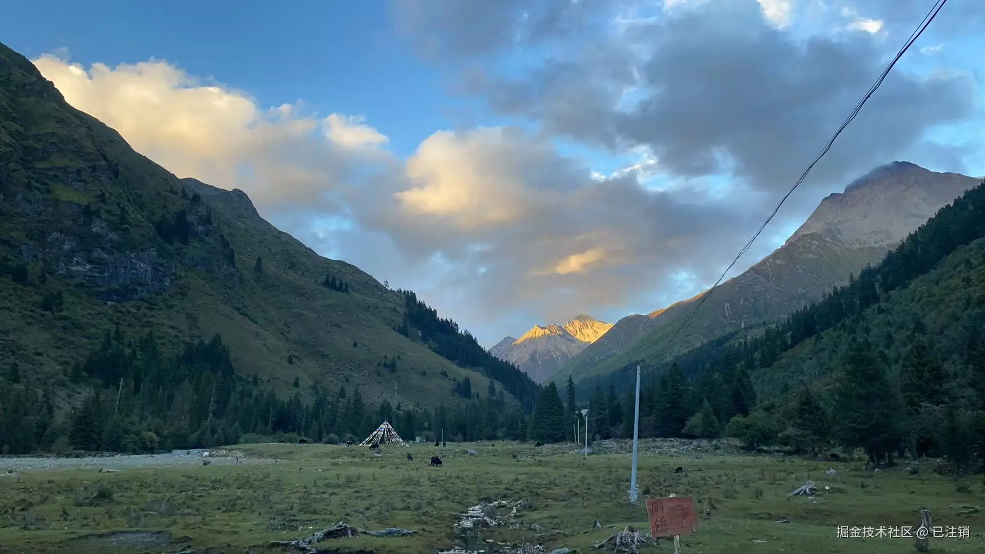 已注销于2025-05-26 08:22发布的图片