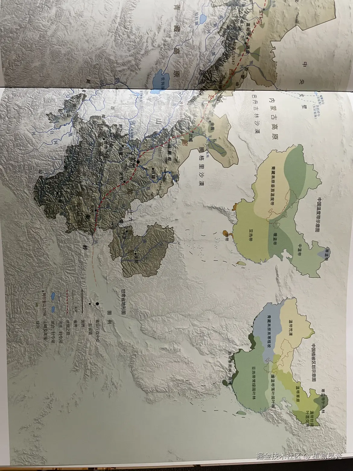 植物昂光于2026-03-26 20:35发布的图片