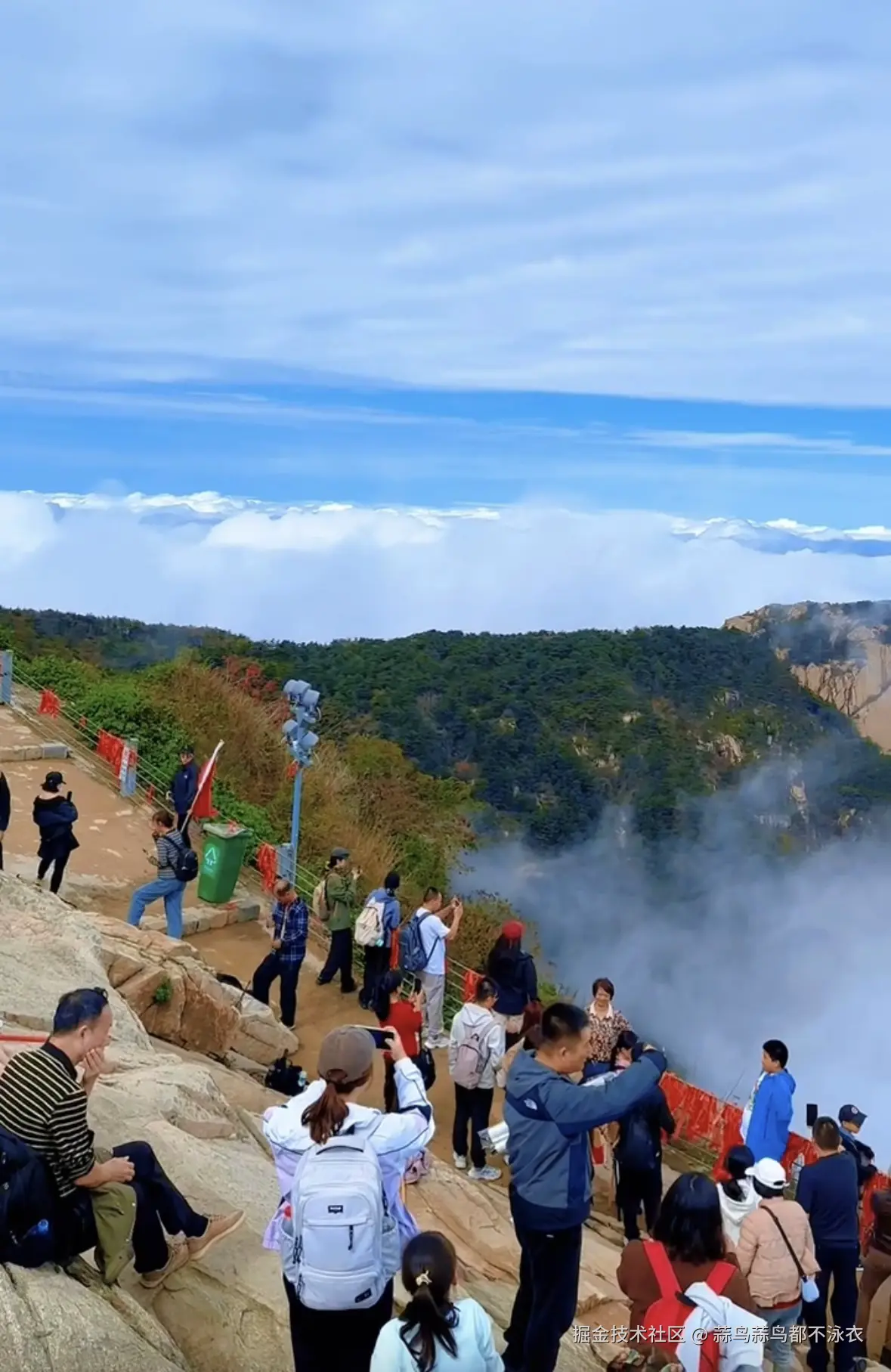 蒜鸟蒜鸟都不泳衣于2025-10-09 11:59发布的图片